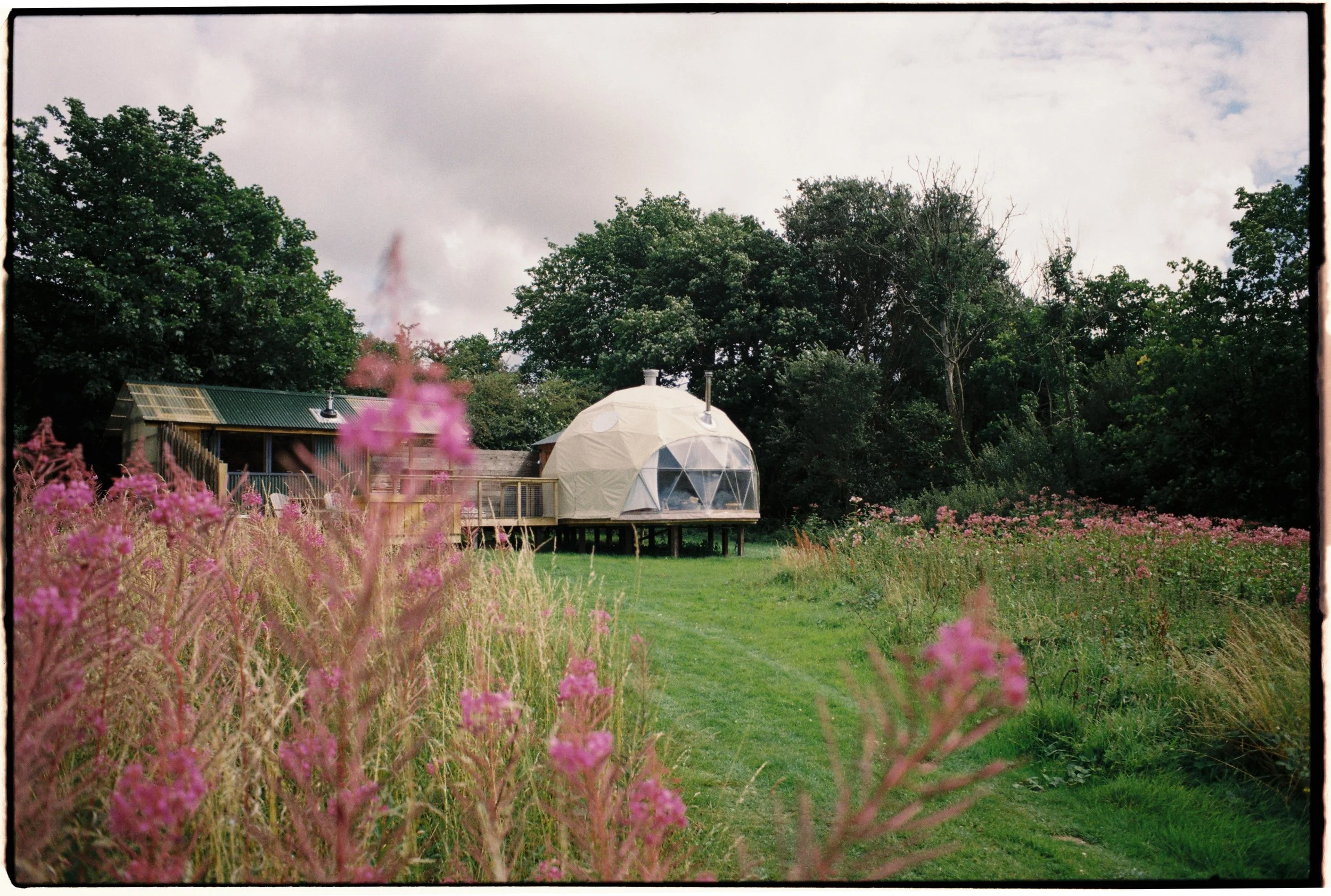 Film_Fforest_Coast_CodyBryce-6.jpg