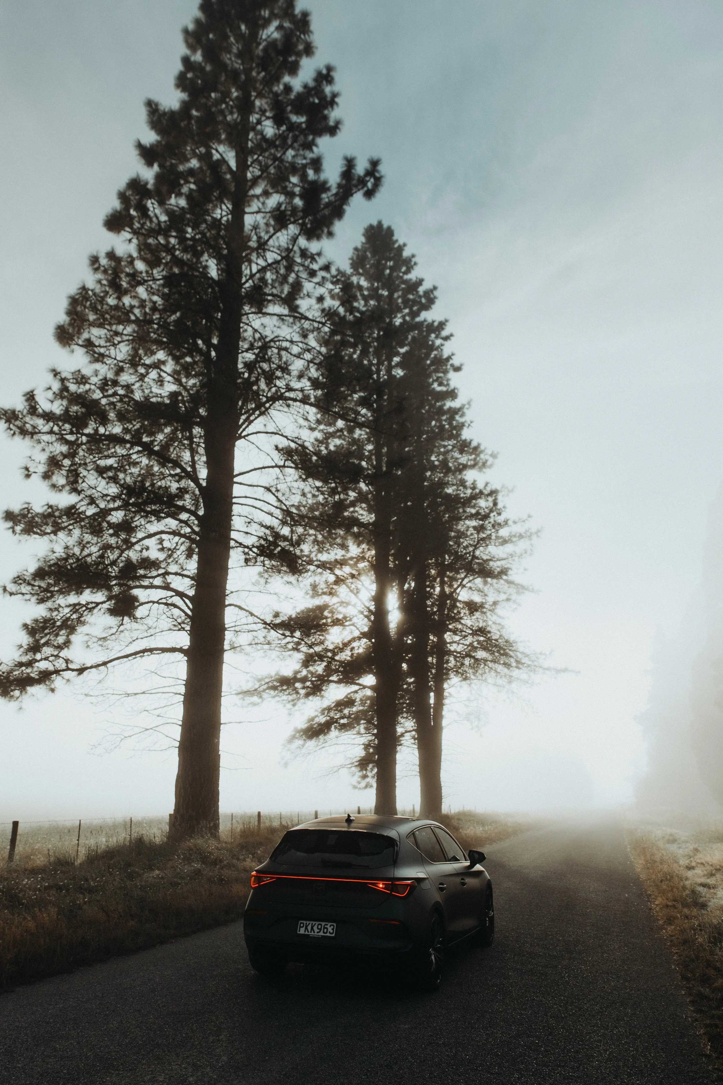 Cupra_NewZealand-11.jpg
