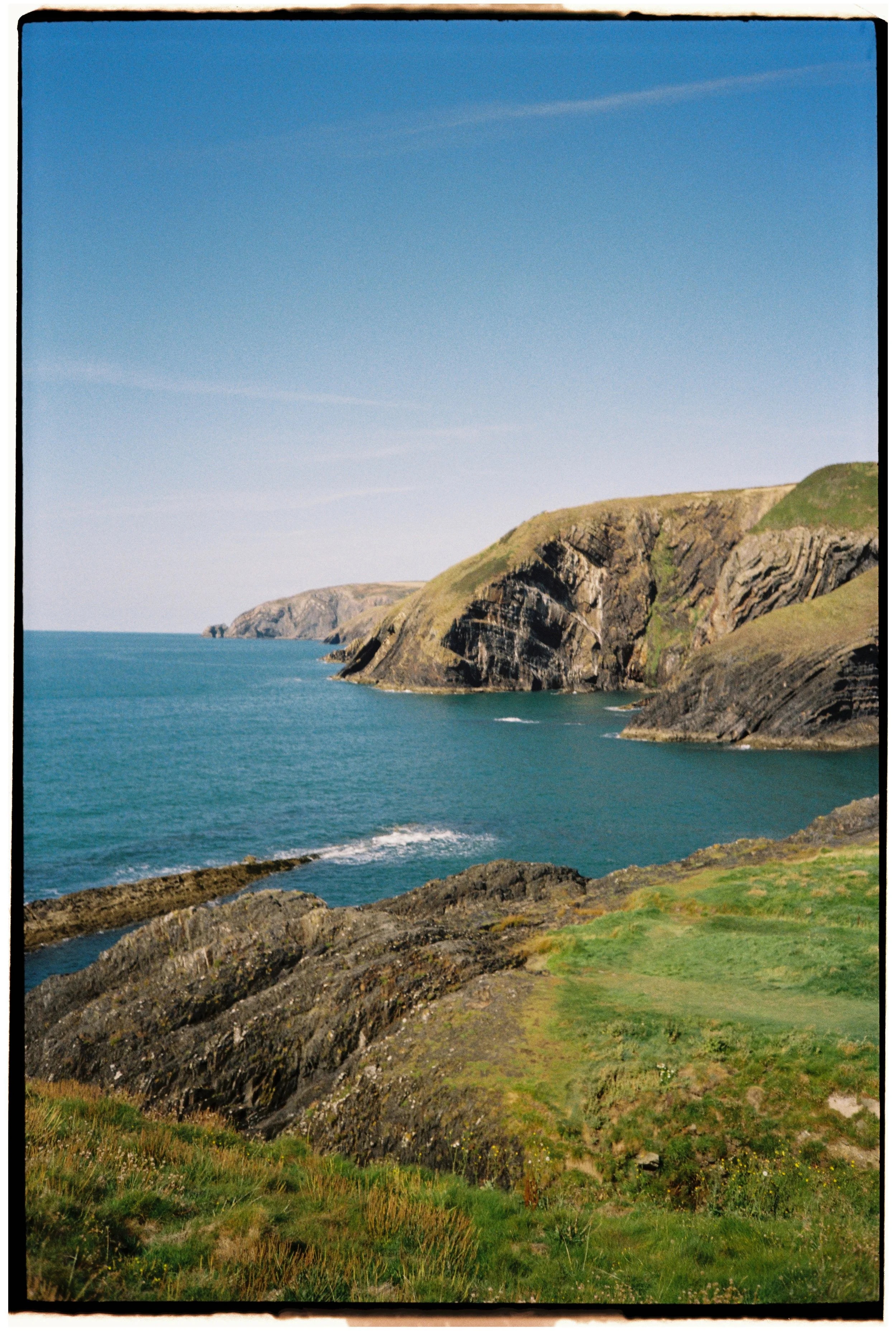 Film_Fforest_Coast_CodyBryce-10.jpg