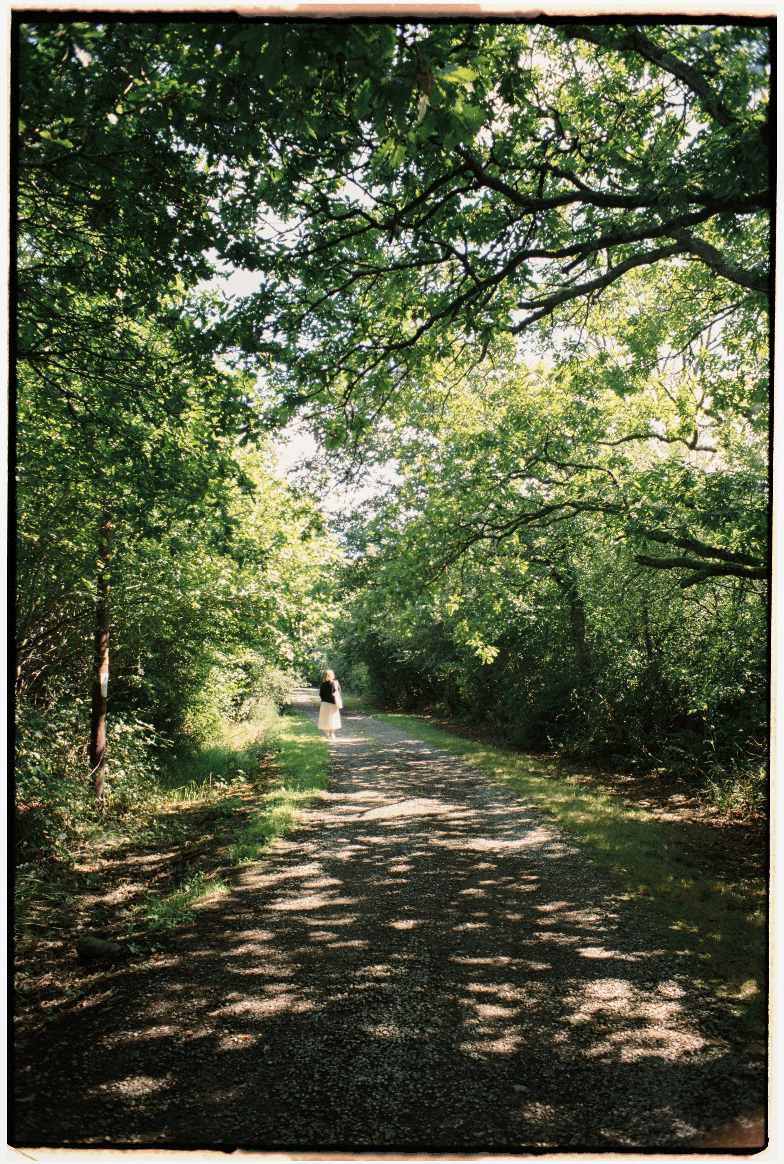 Film_Fforest_Farm_CodyBryce.jpg