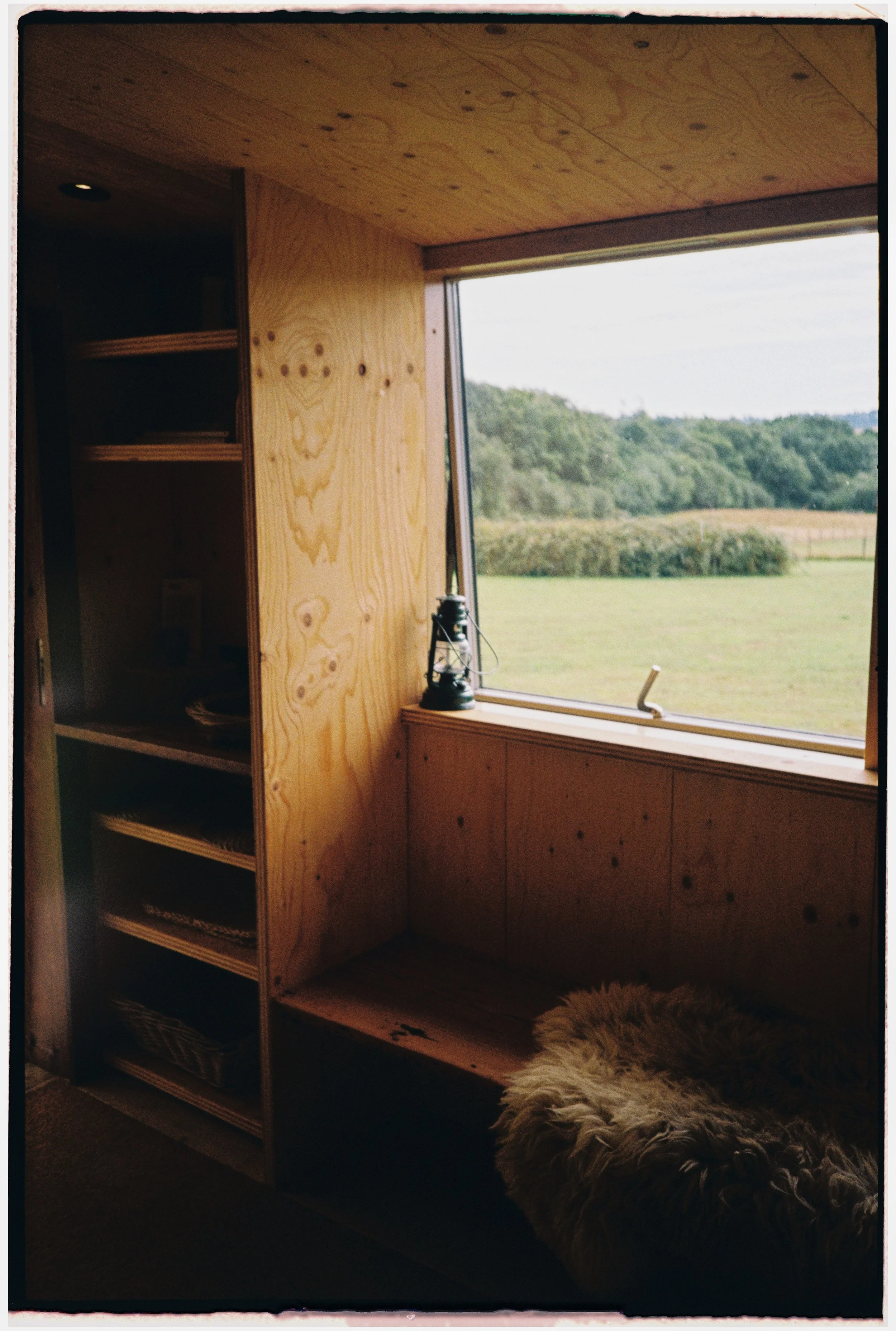 Film_Fforest_Farm_CodyBryce-17.jpg