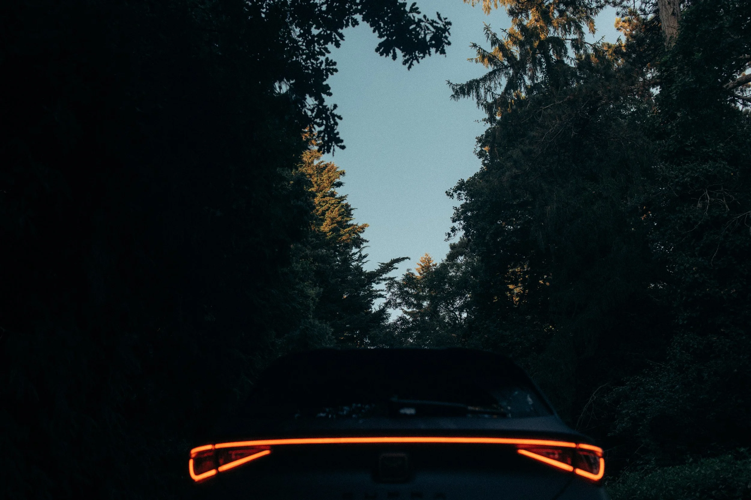 Cupra_NewZealand-3.jpg