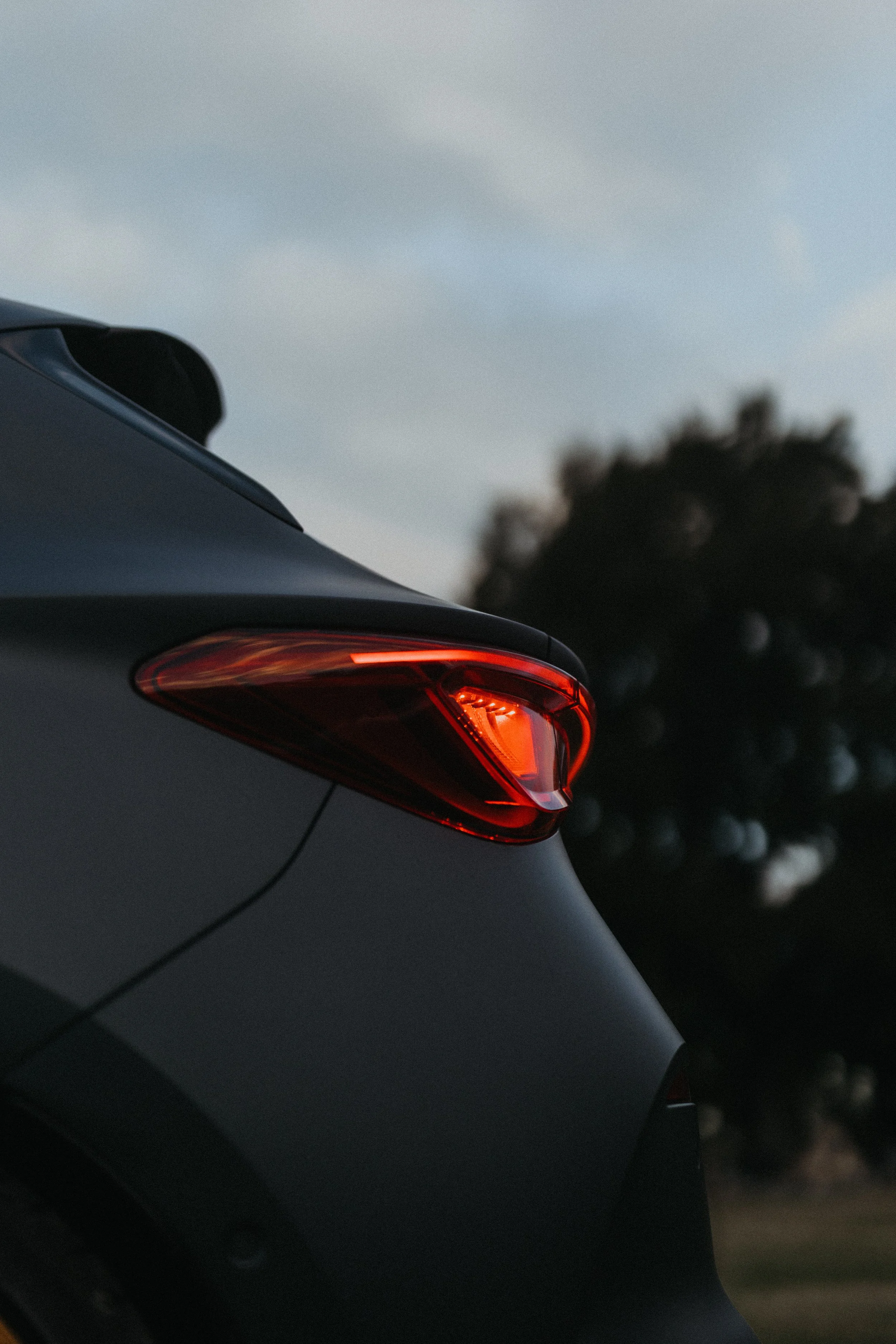 Cupra_NewZealand-63.jpg