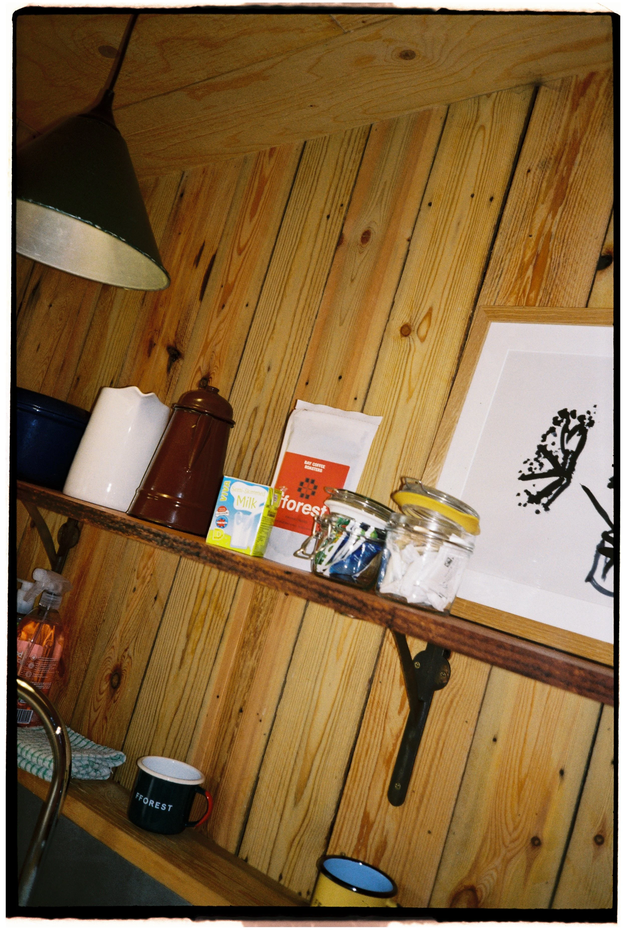 Film_Fforest_Farm_CodyBryce-19.jpg
