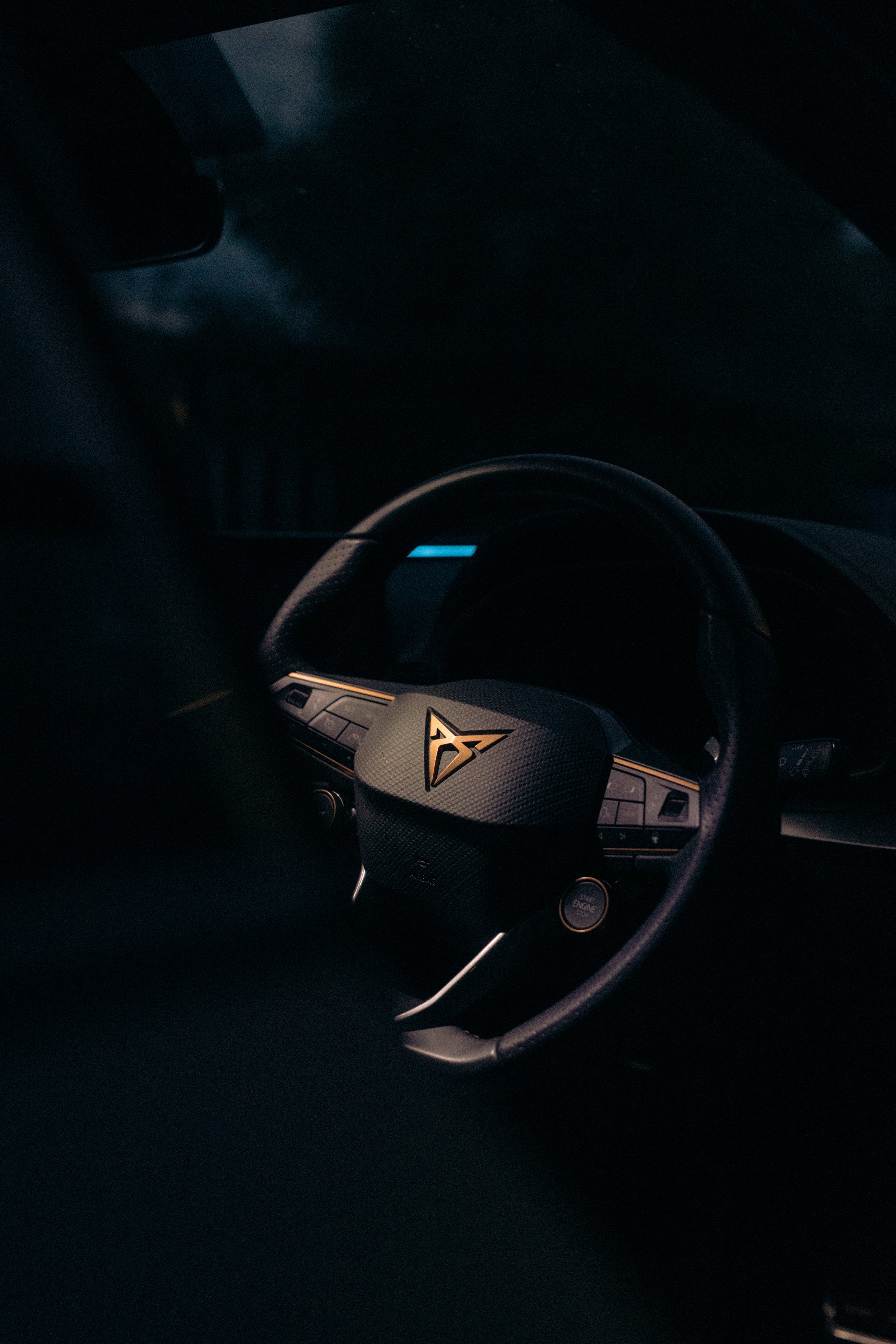 Cupra_NewZealand-86.jpg