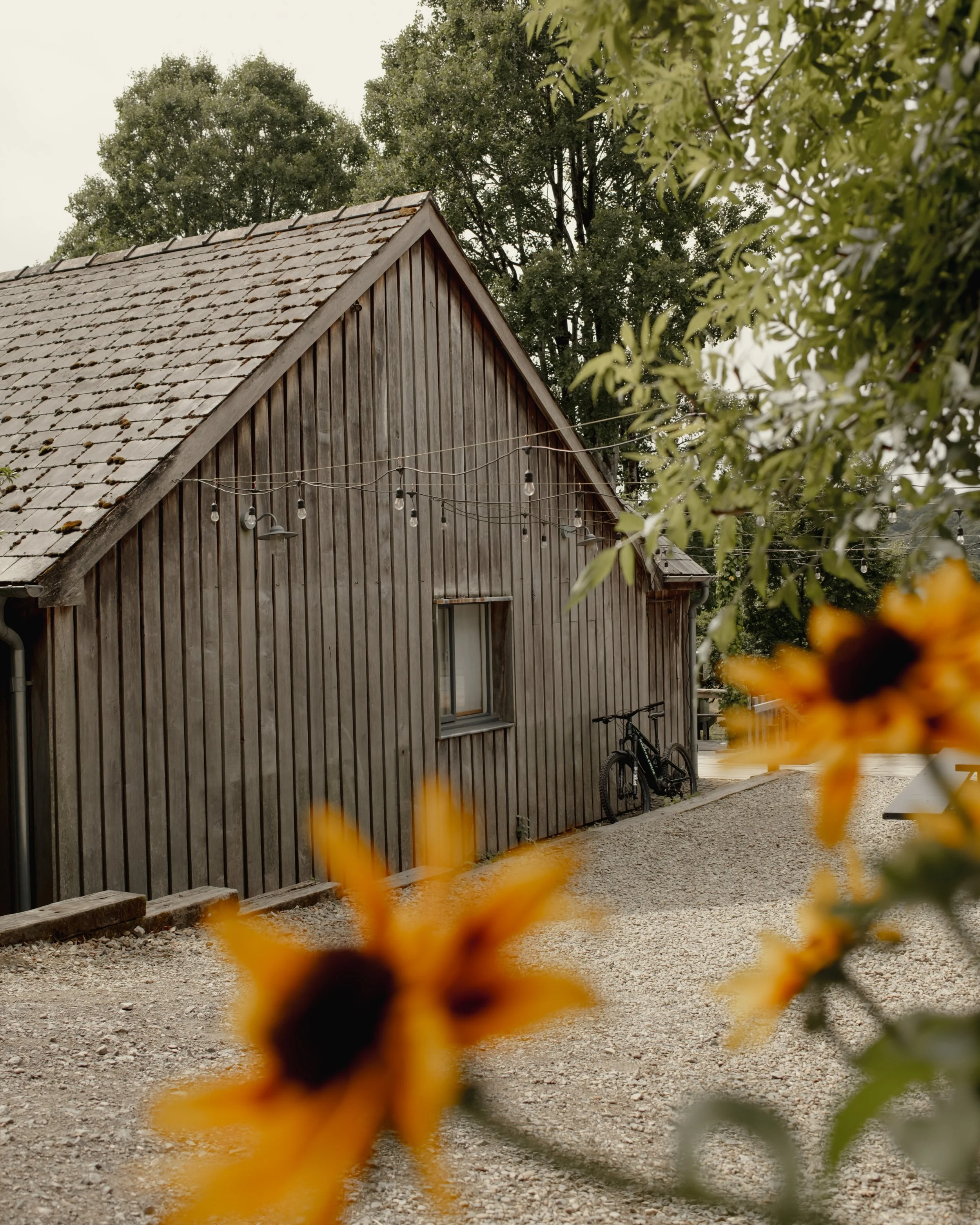 Fforest_Farm_CodyByrce-41.jpg