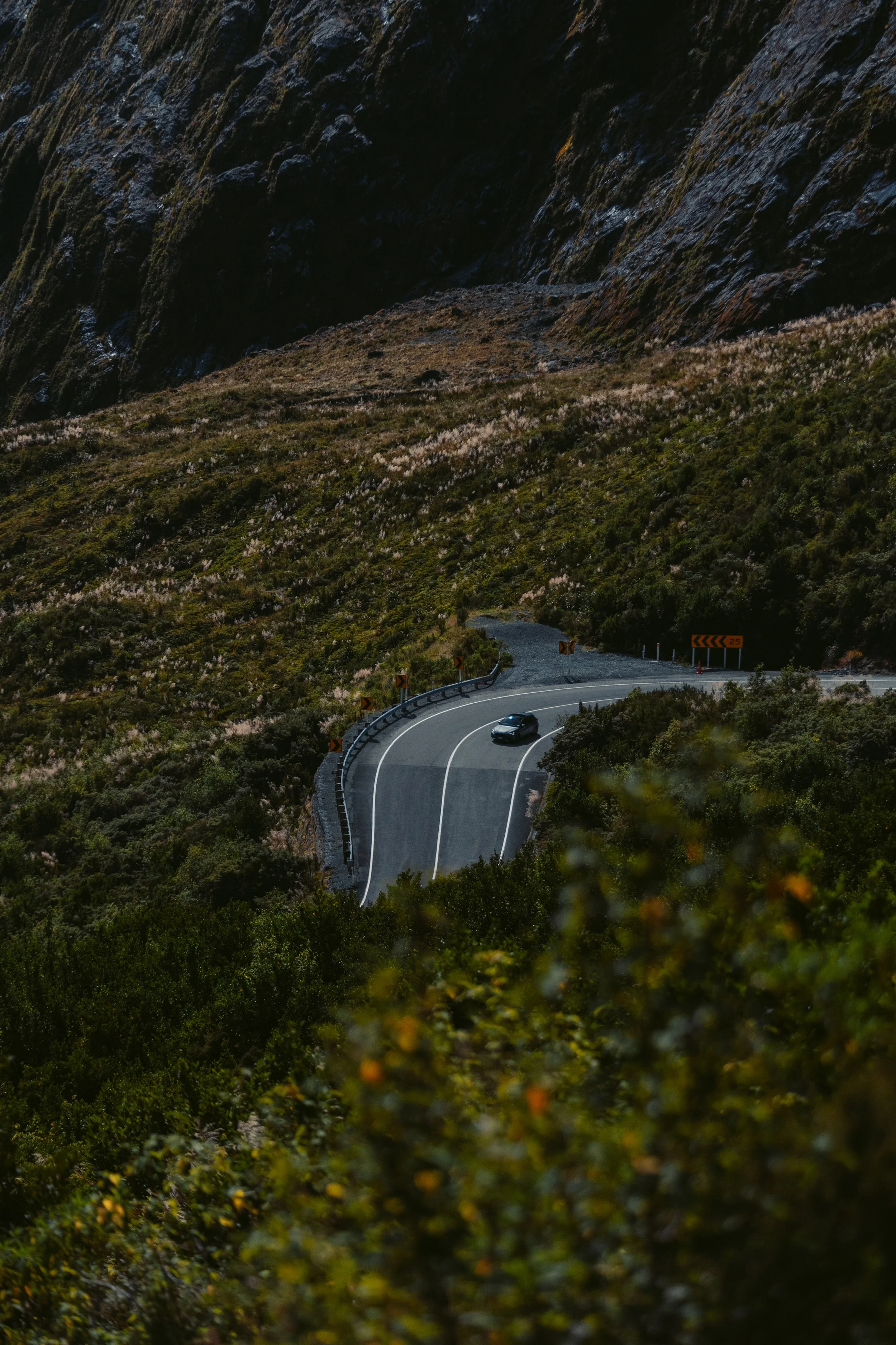 Cupra_NewZealand-56.jpg