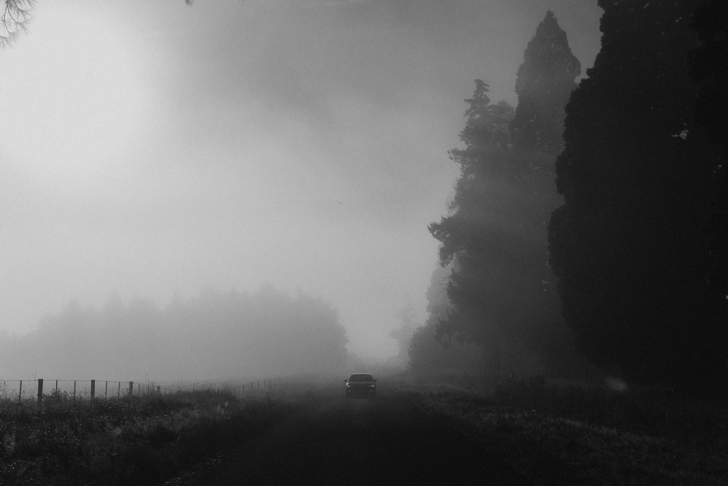 Cupra_NewZealand-19.jpg
