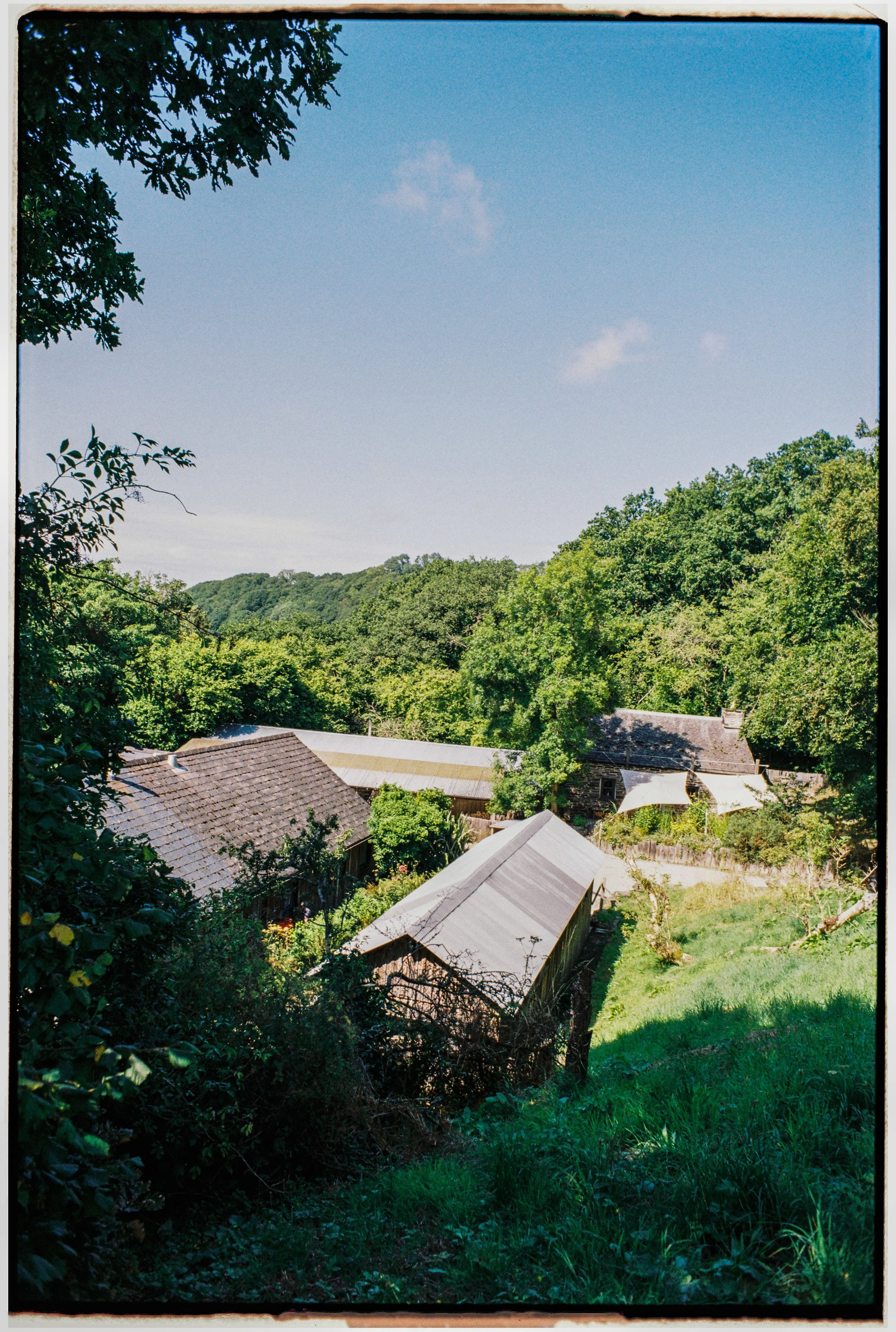 Film_Fforest_Farm_CodyBryce-2.jpg