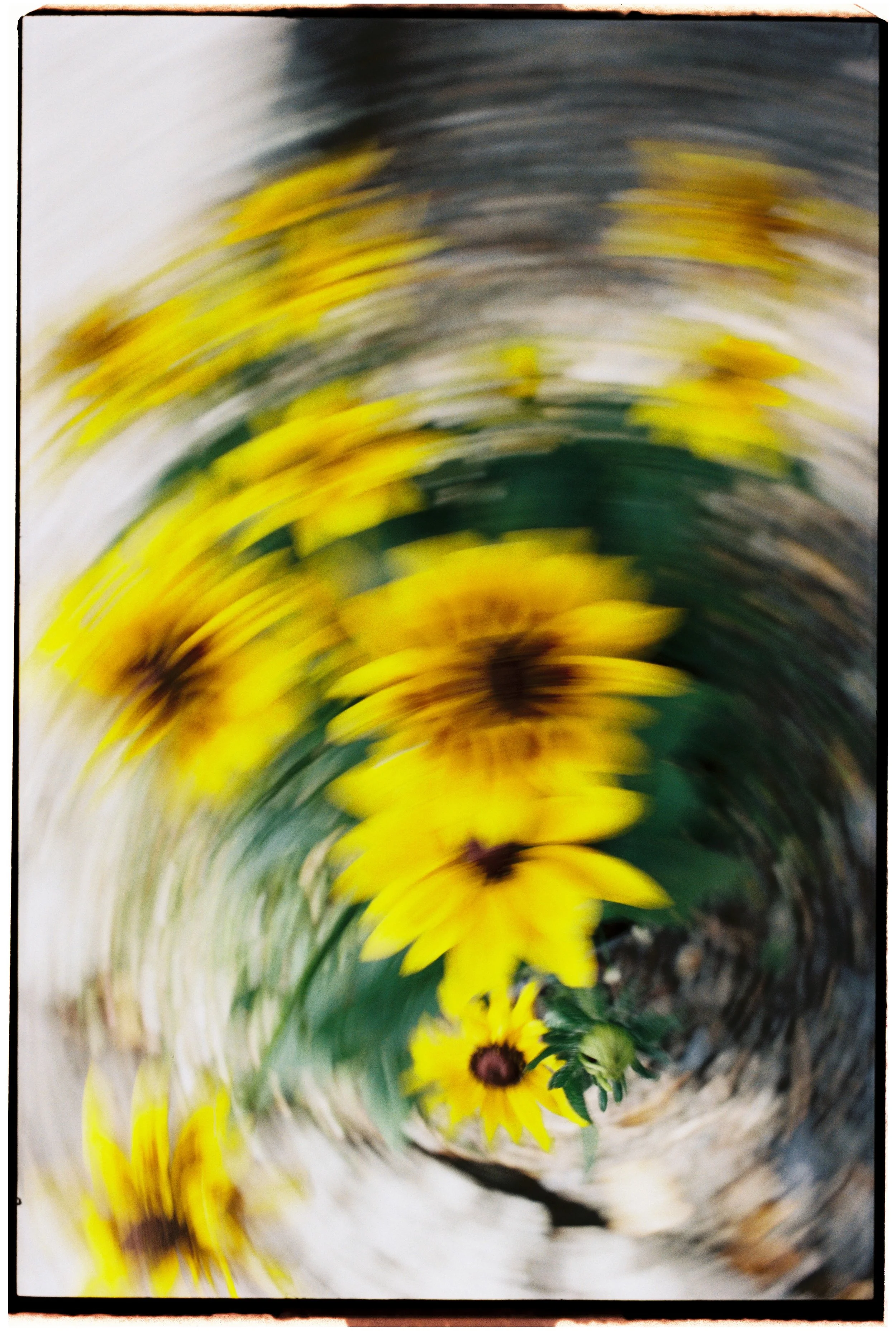 Film_Fforest_Farm_CodyBryce-9.jpg