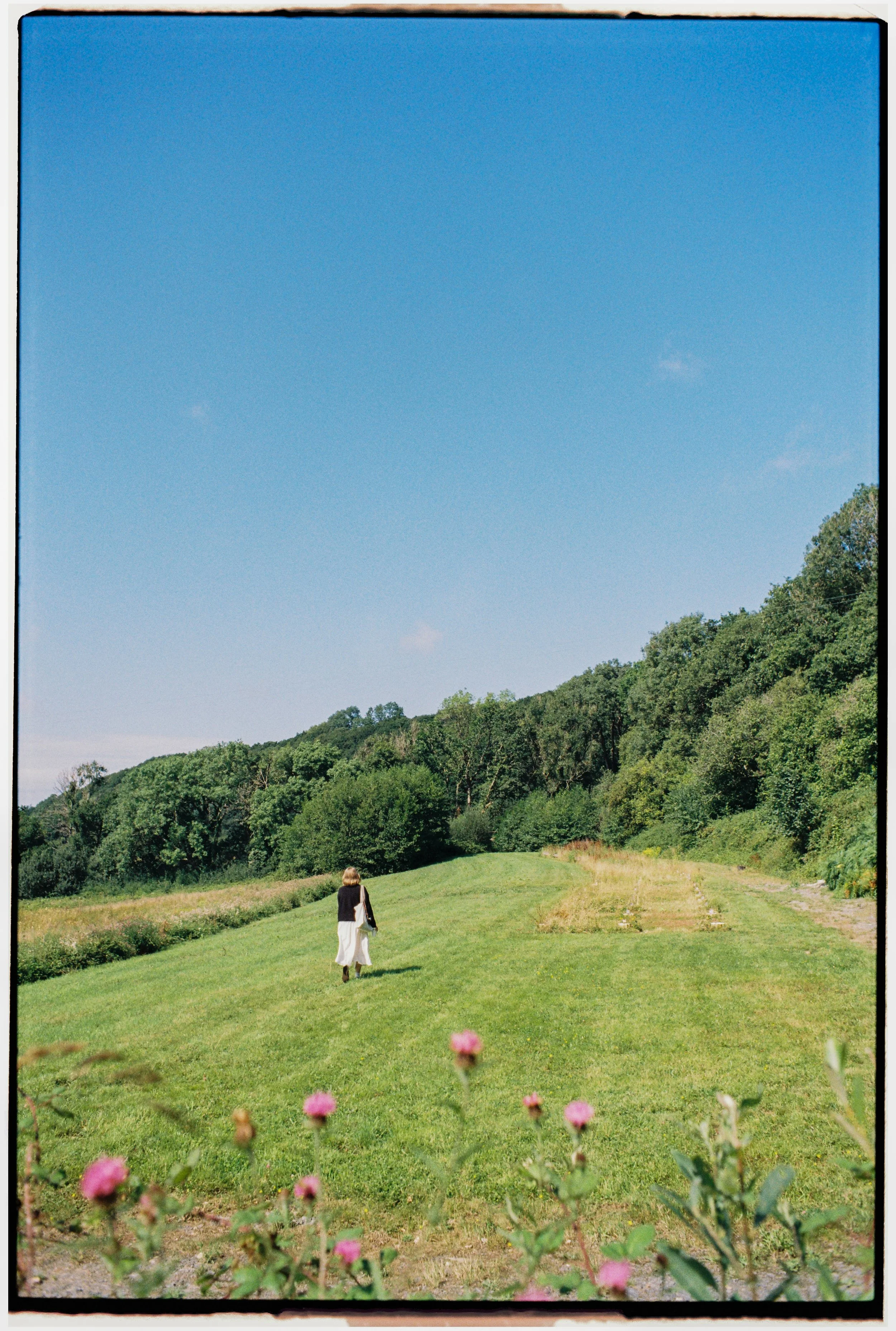 Film_Fforest_Farm_CodyBryce-3.jpg
