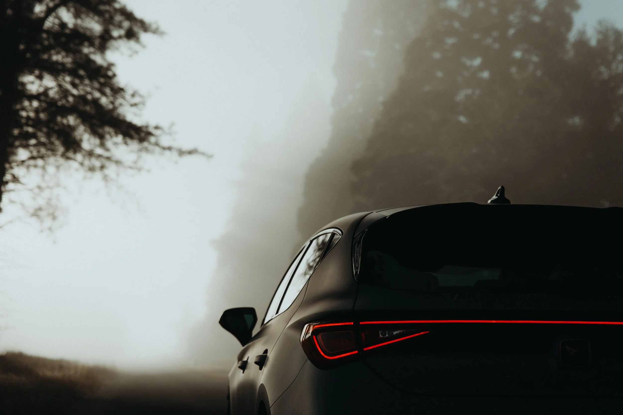 Cupra_NewZealand-18.jpg