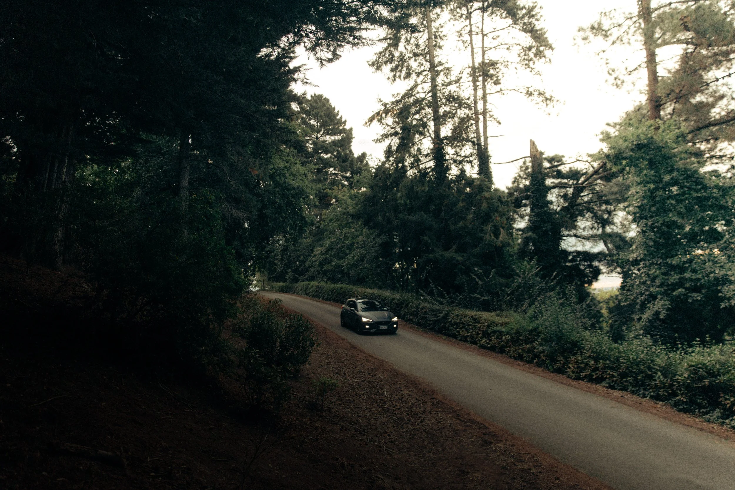 Cupra_NewZealand-75.jpg