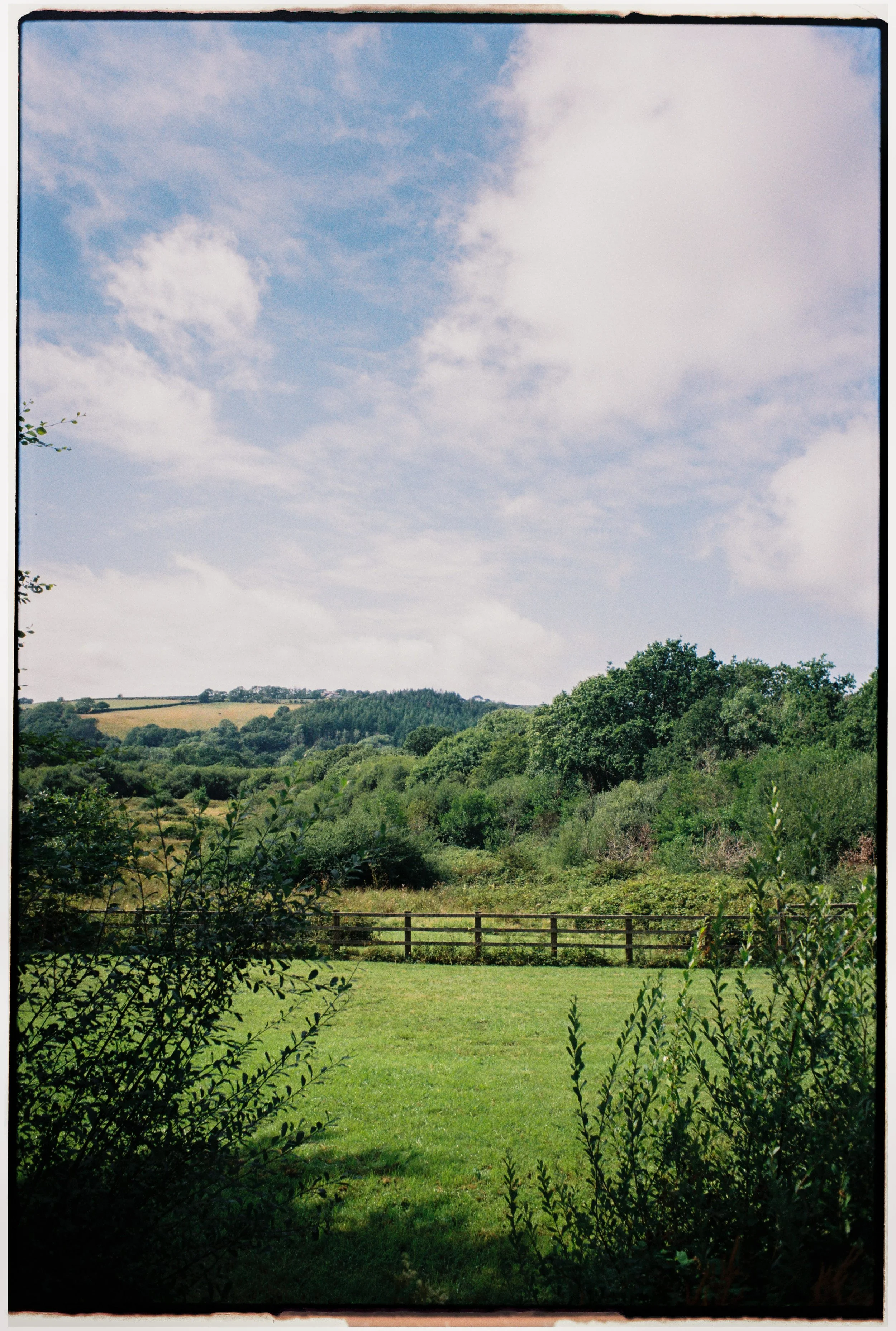 Film_Fforest_Farm_CodyBryce-6.jpg