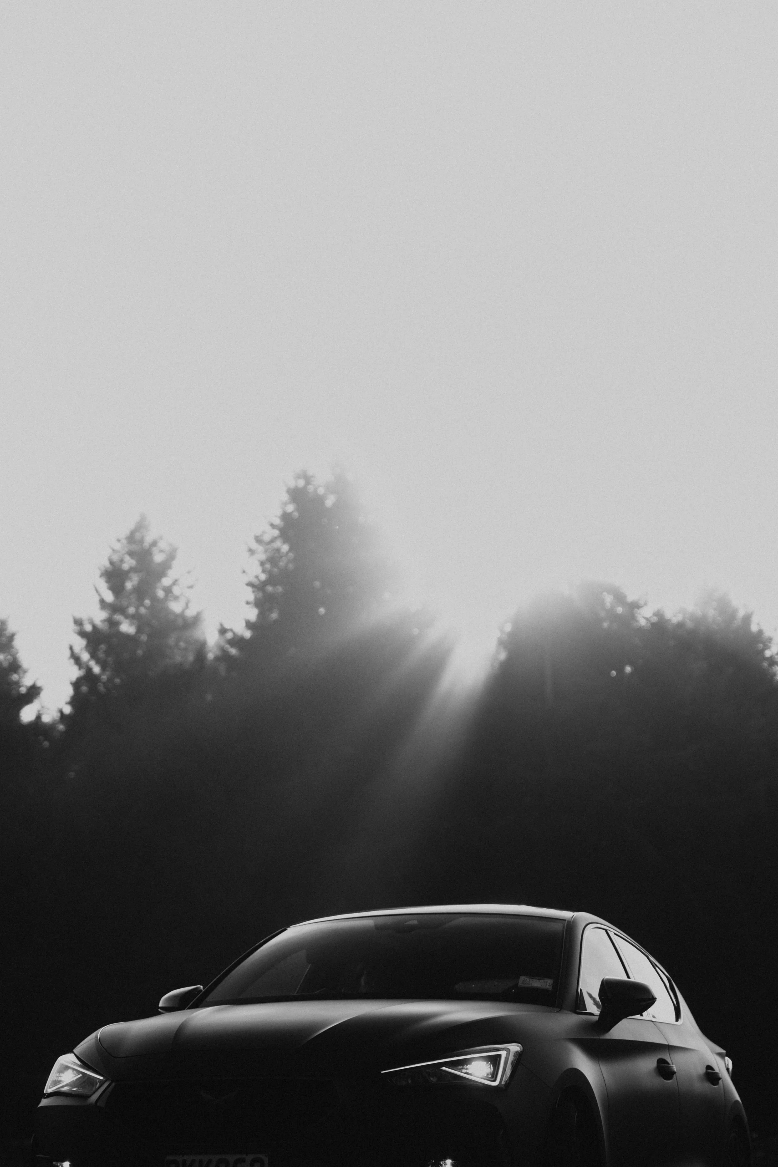 Cupra_NewZealand-23.jpg