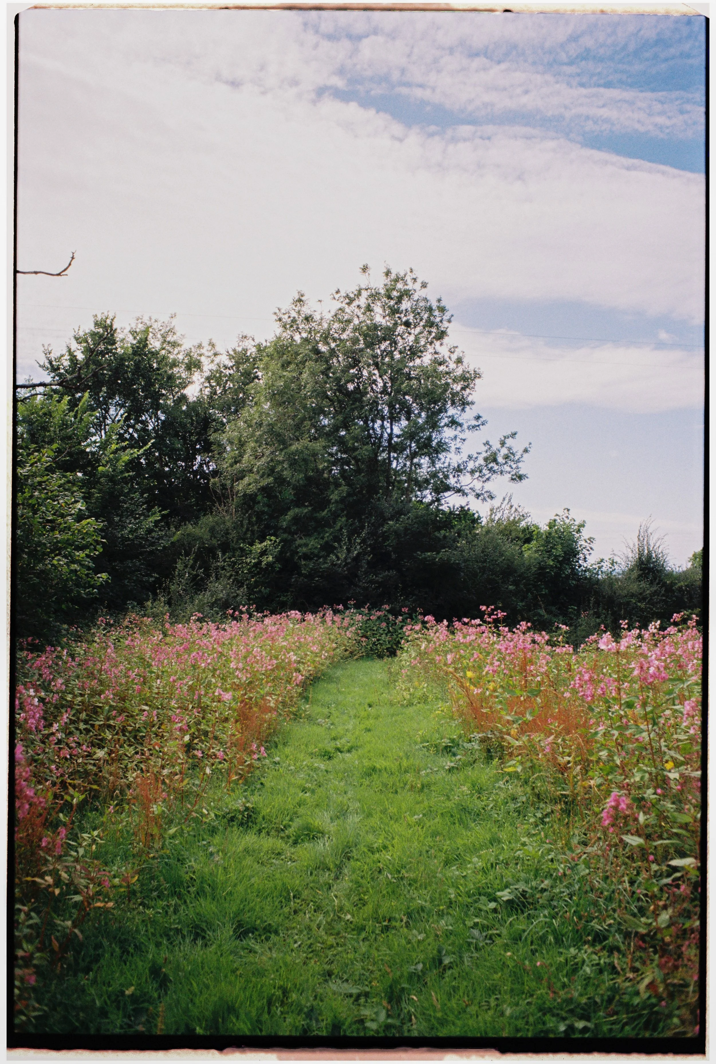 Film_Fforest_Coast_CodyBryce-3.jpg