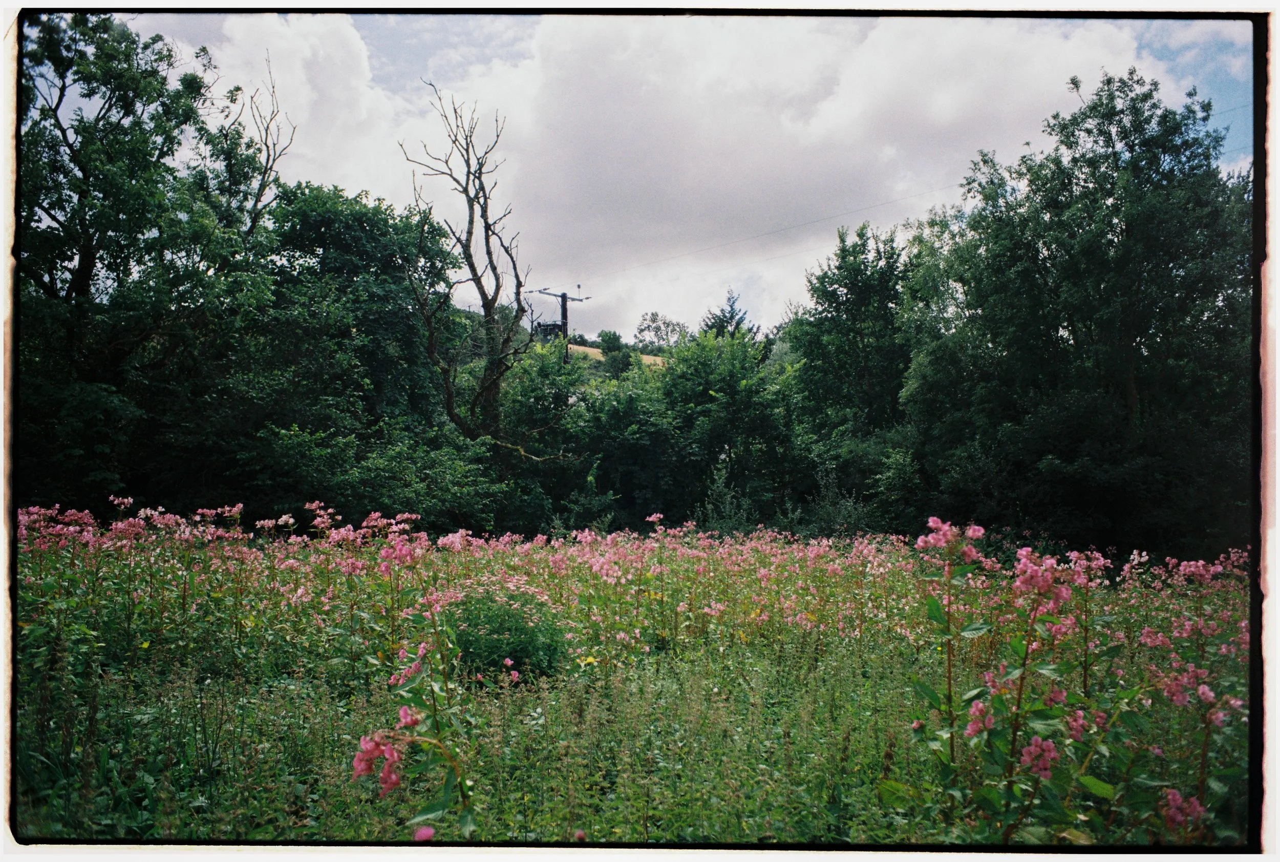 Film_Fforest_Coast_CodyBryce-8.jpg