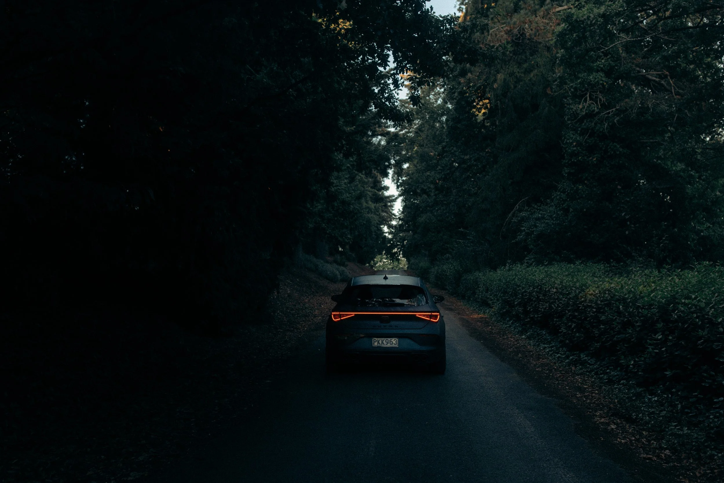 Cupra_NewZealand.jpg