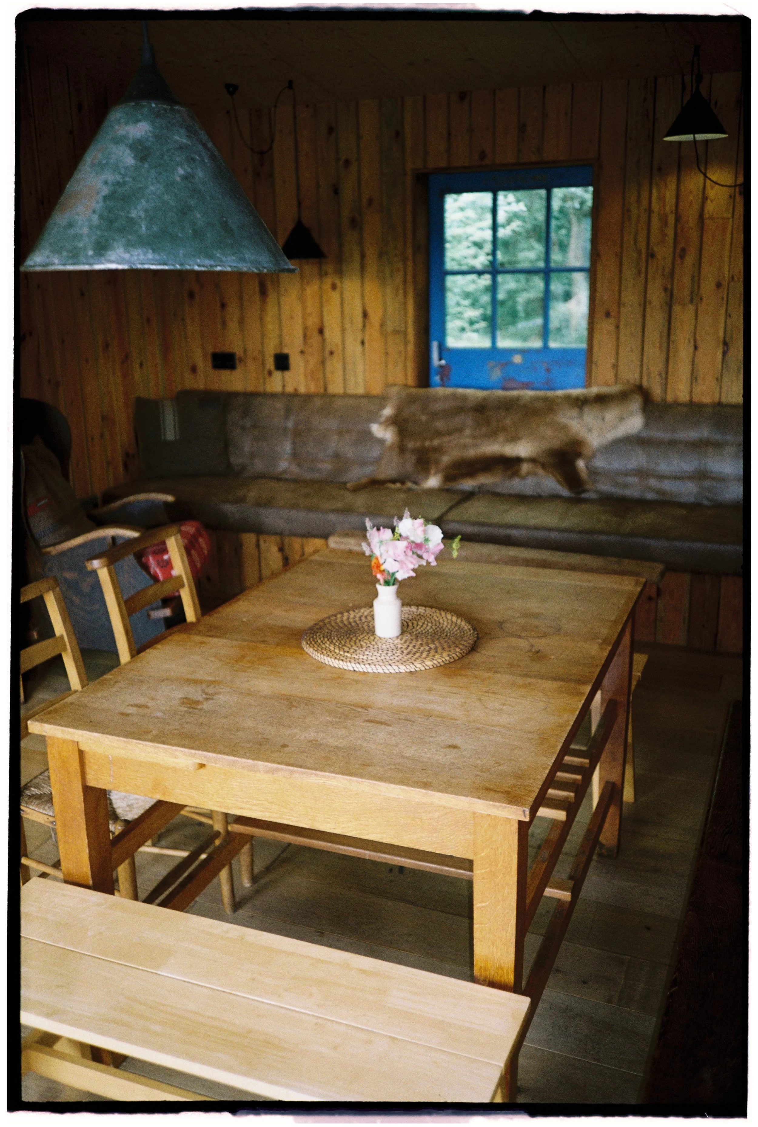 Film_Fforest_Farm_CodyBryce-23.jpg
