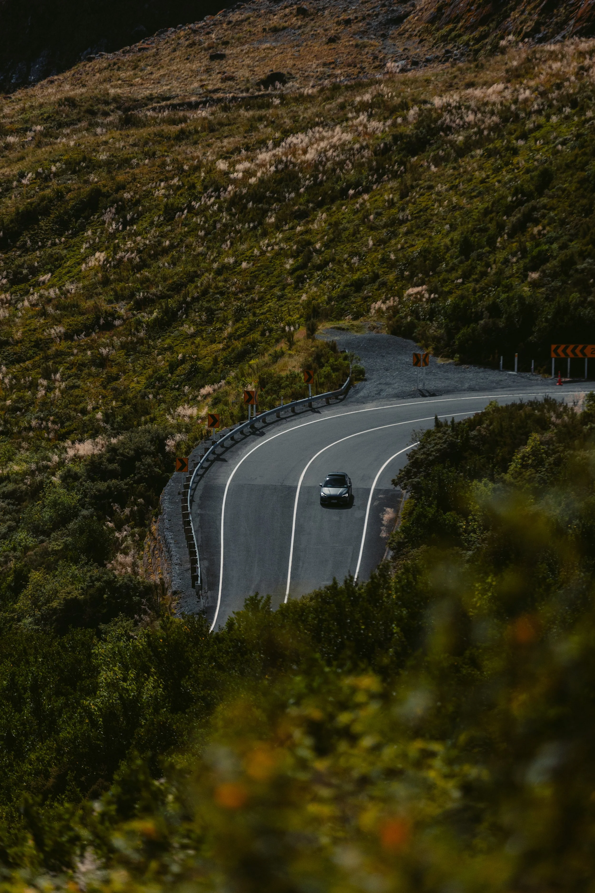 Cupra_NewZealand-57.jpg