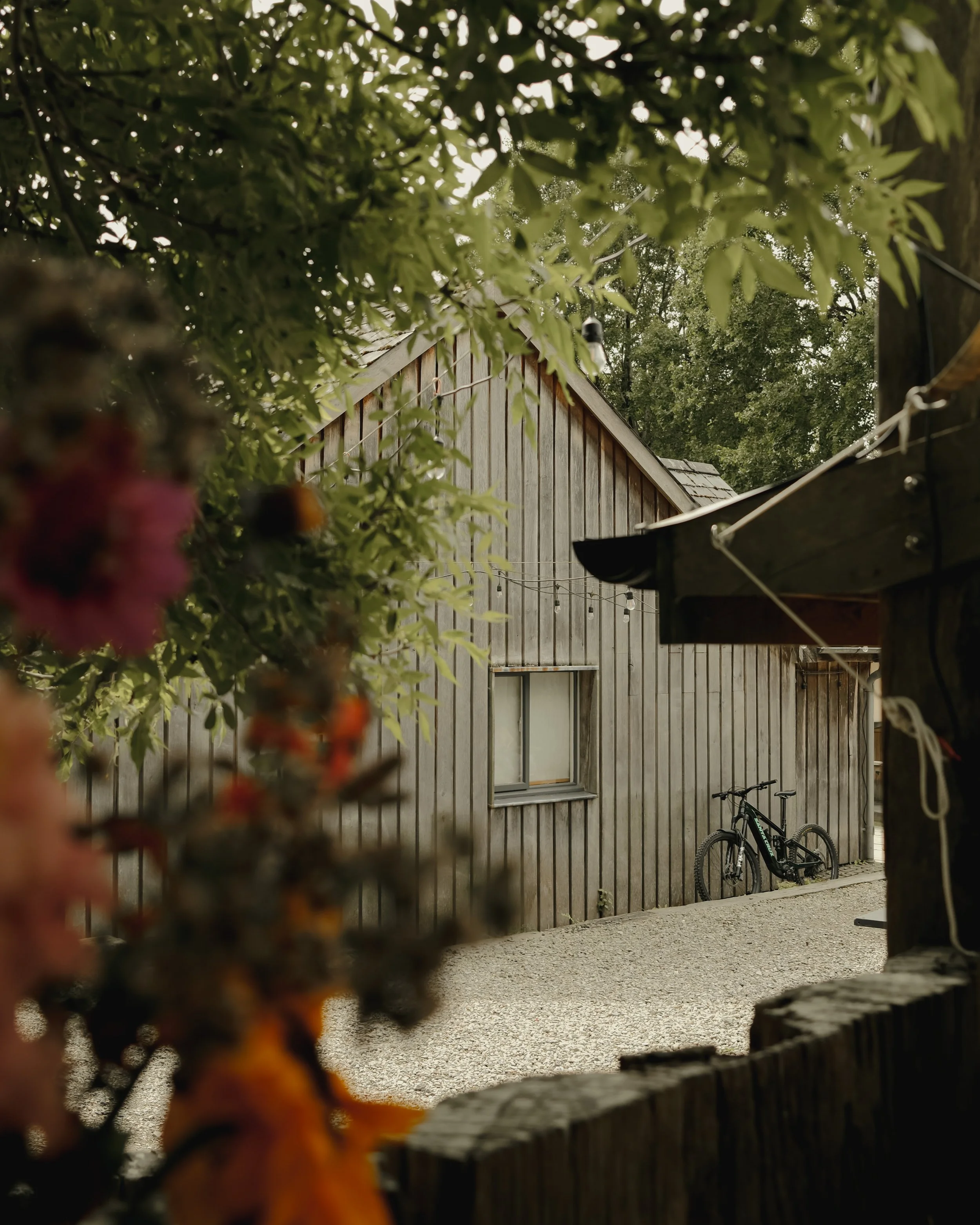 Fforest_Farm_CodyByrce-39.jpg