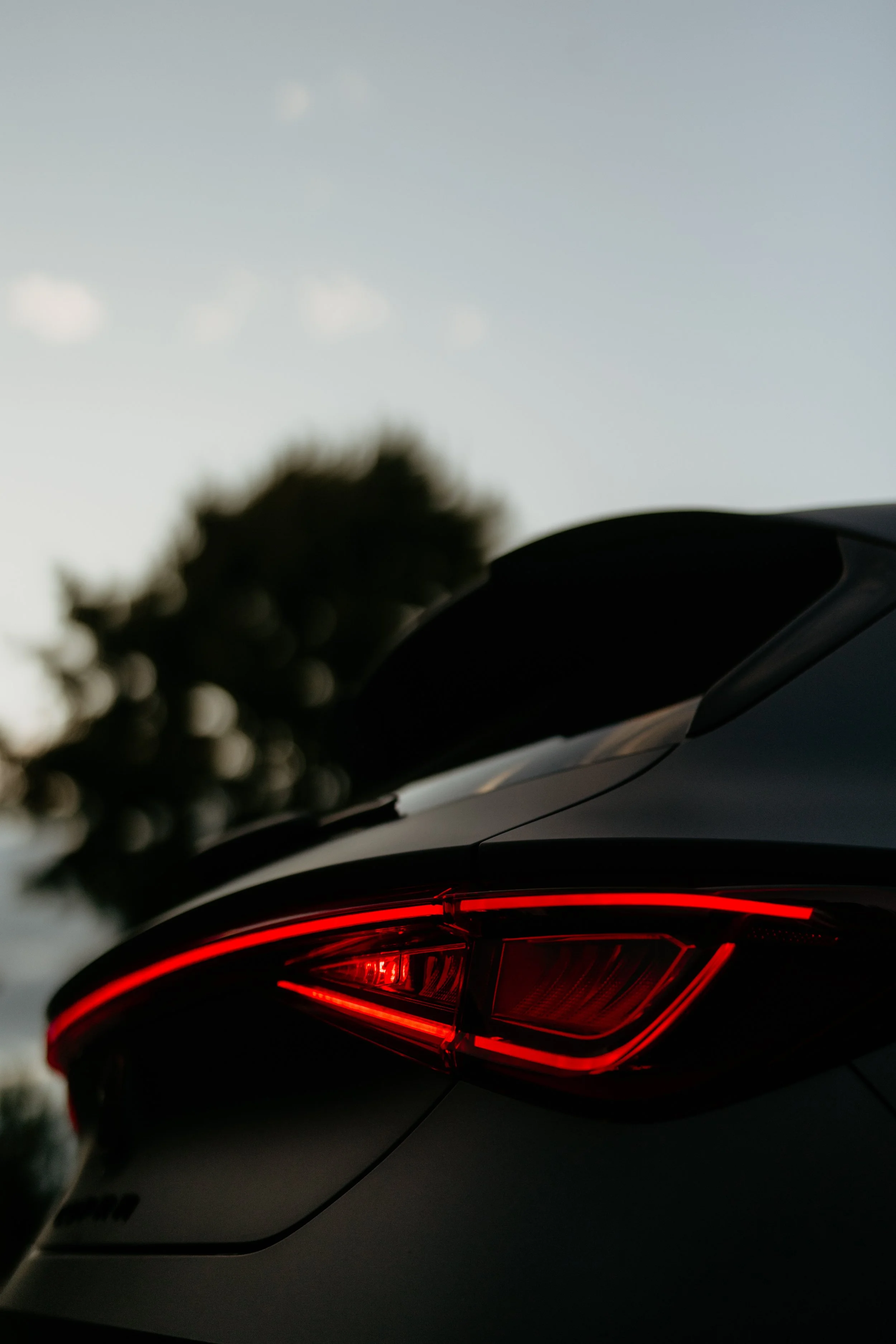Cupra_NewZealand-73.jpg