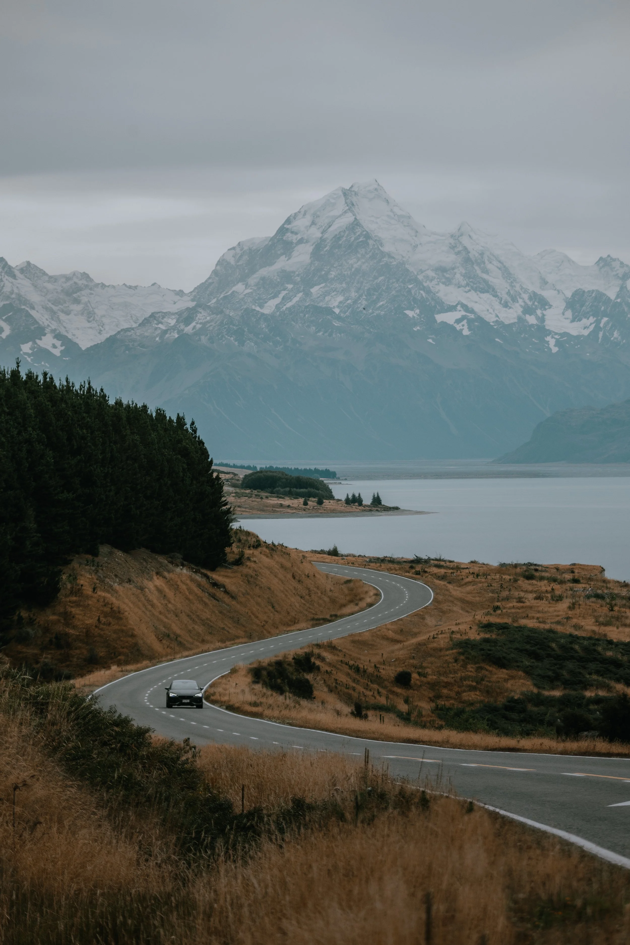 Cupra_NewZealand-28.jpg