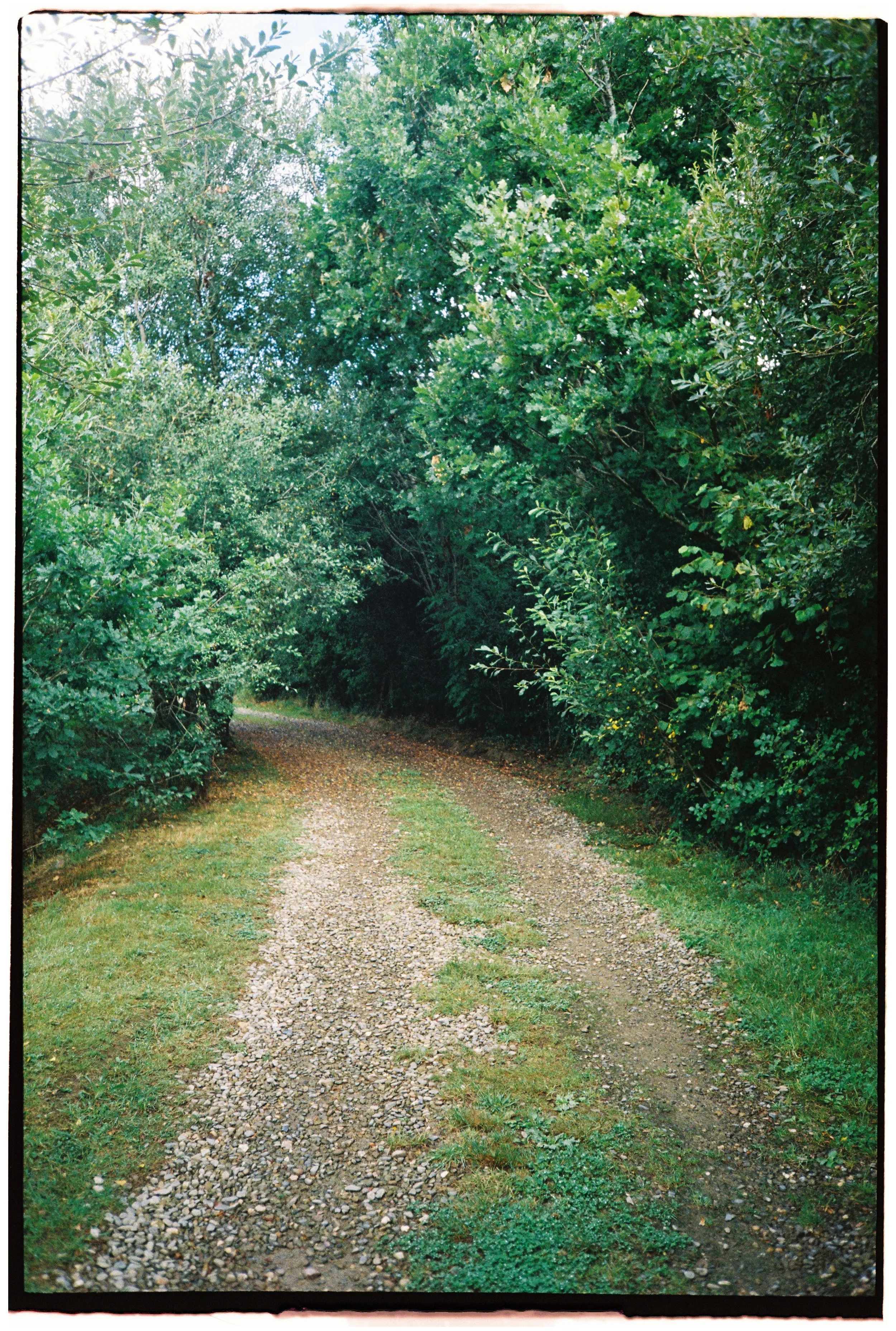 Film_Fforest_Farm_CodyBryce-28.jpg