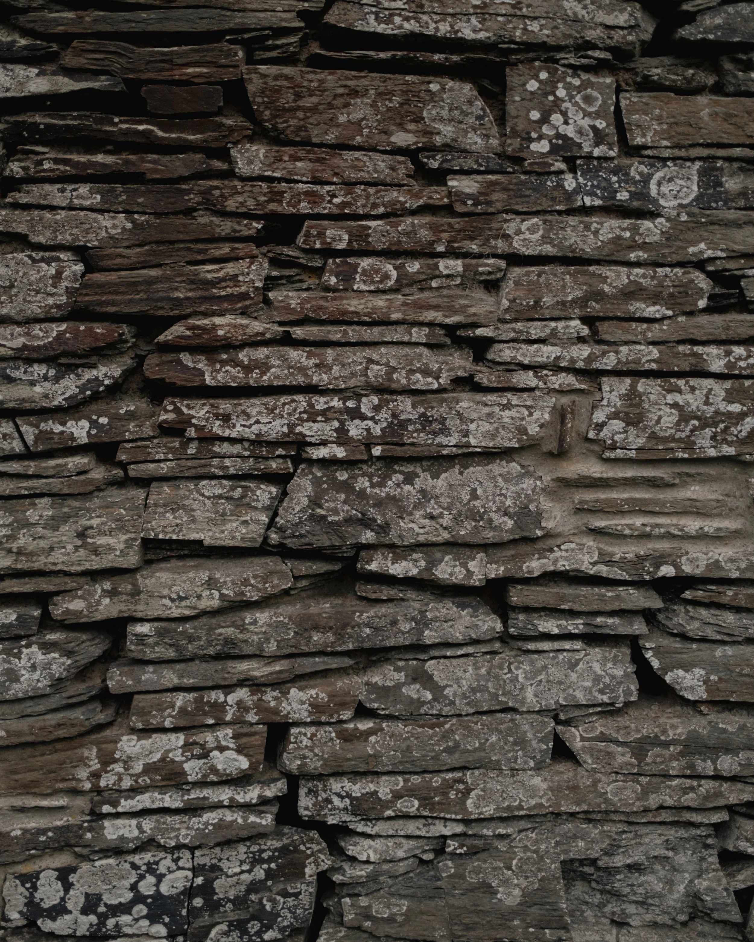 Fforest_Farm_CodyByrce-70.jpg