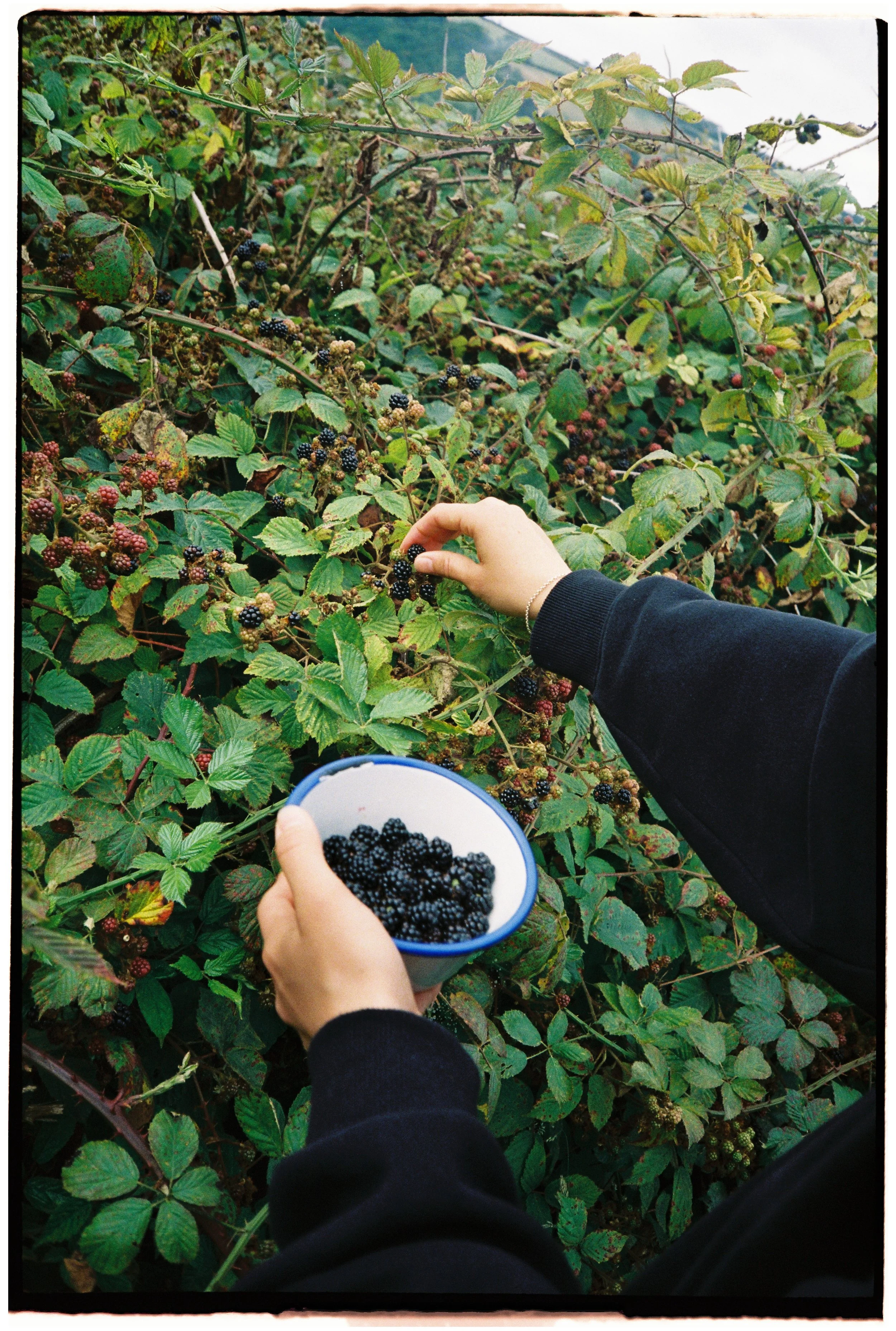 Film_Fforest_Farm_CodyBryce-27.jpg