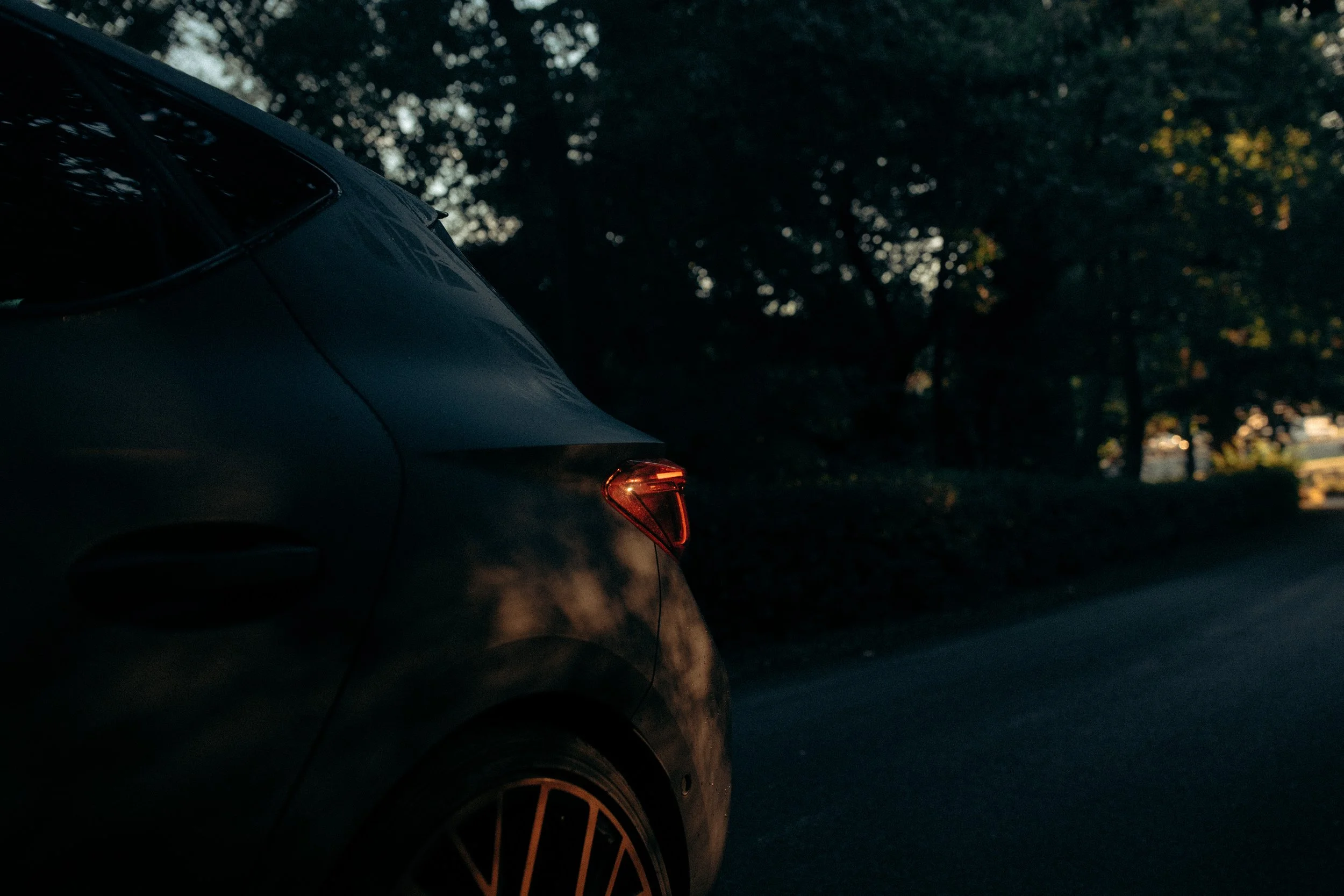 Cupra_NewZealand-4.jpg