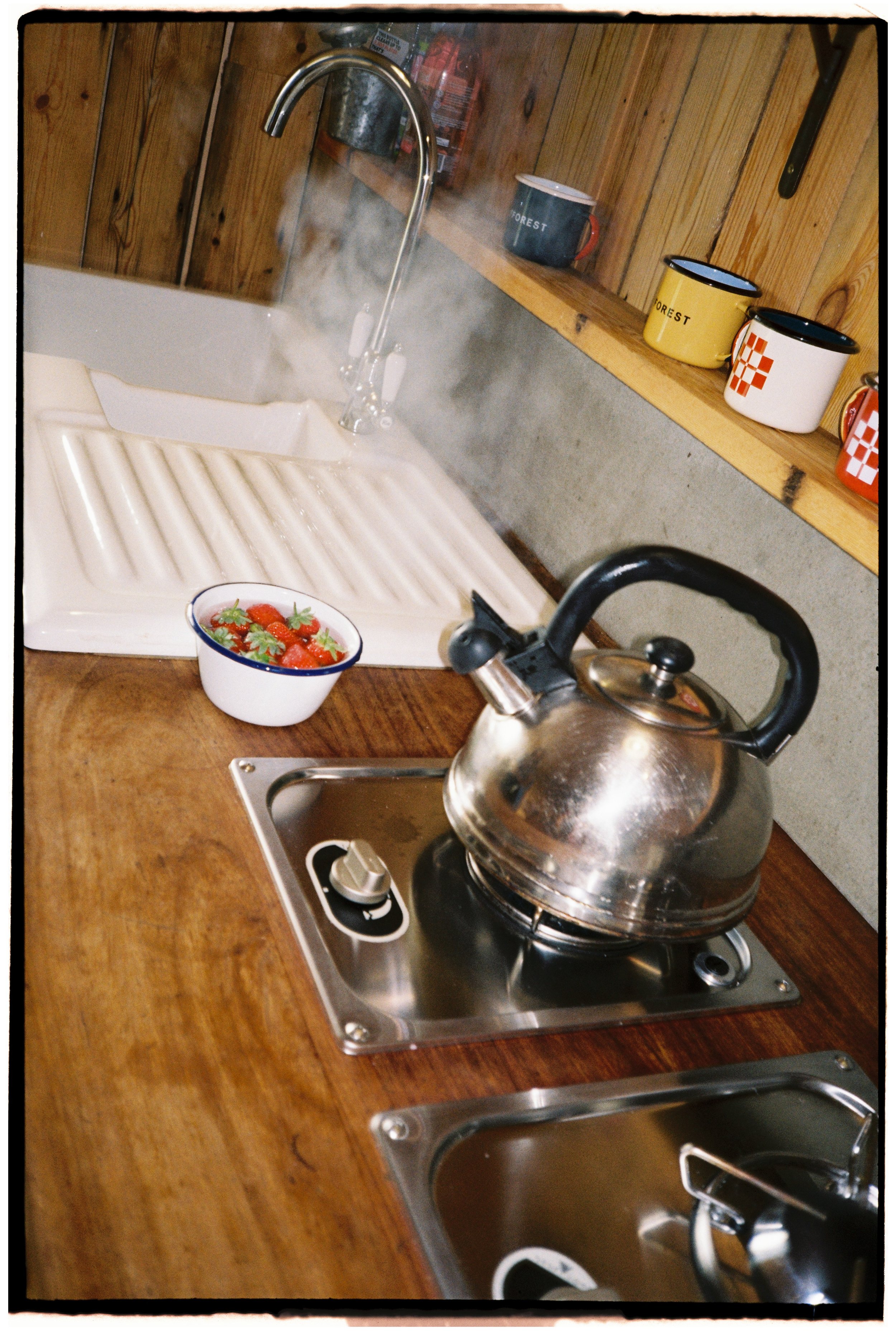 Film_Fforest_Farm_CodyBryce-18.jpg