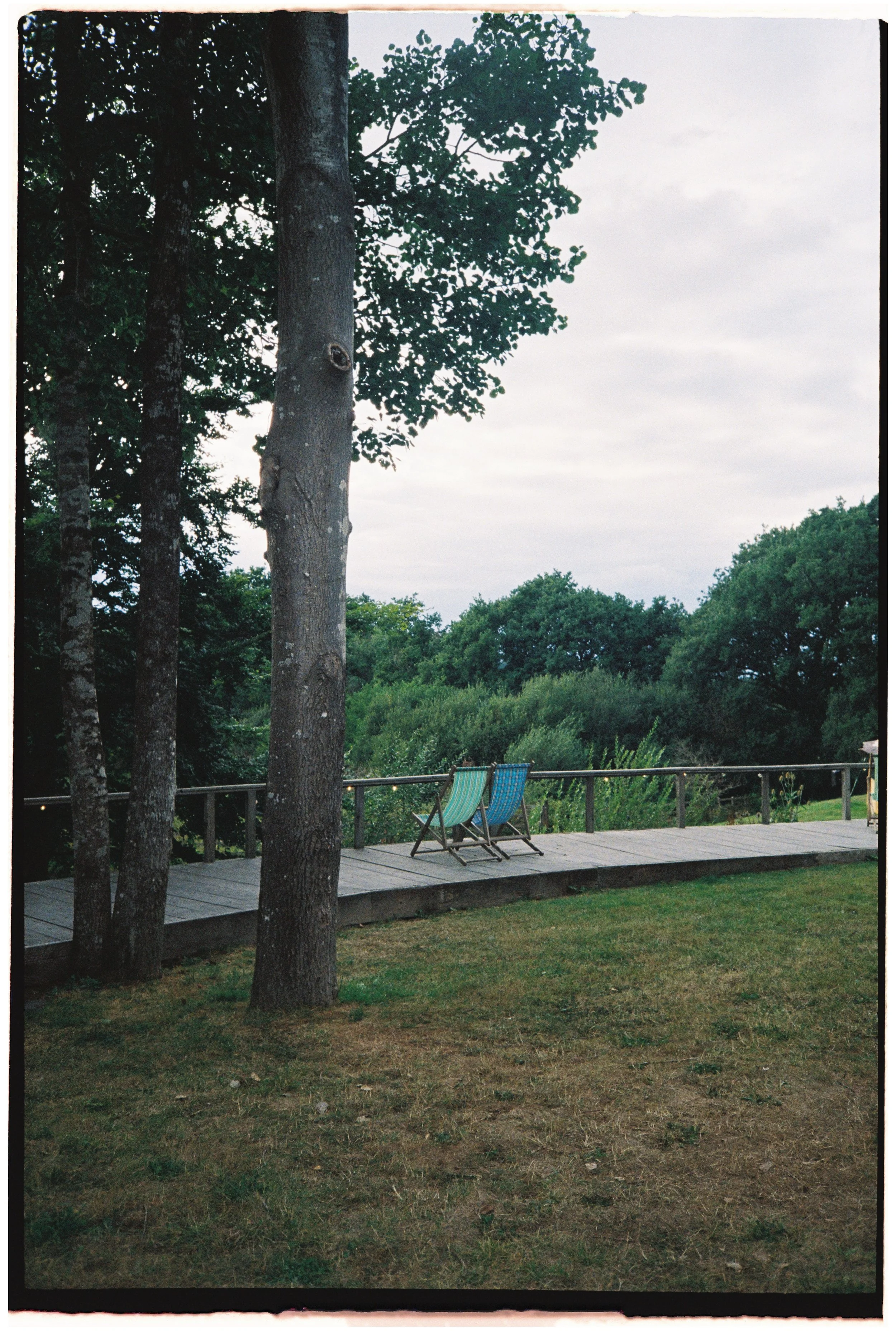 Film_Fforest_Farm_CodyBryce-30.jpg
