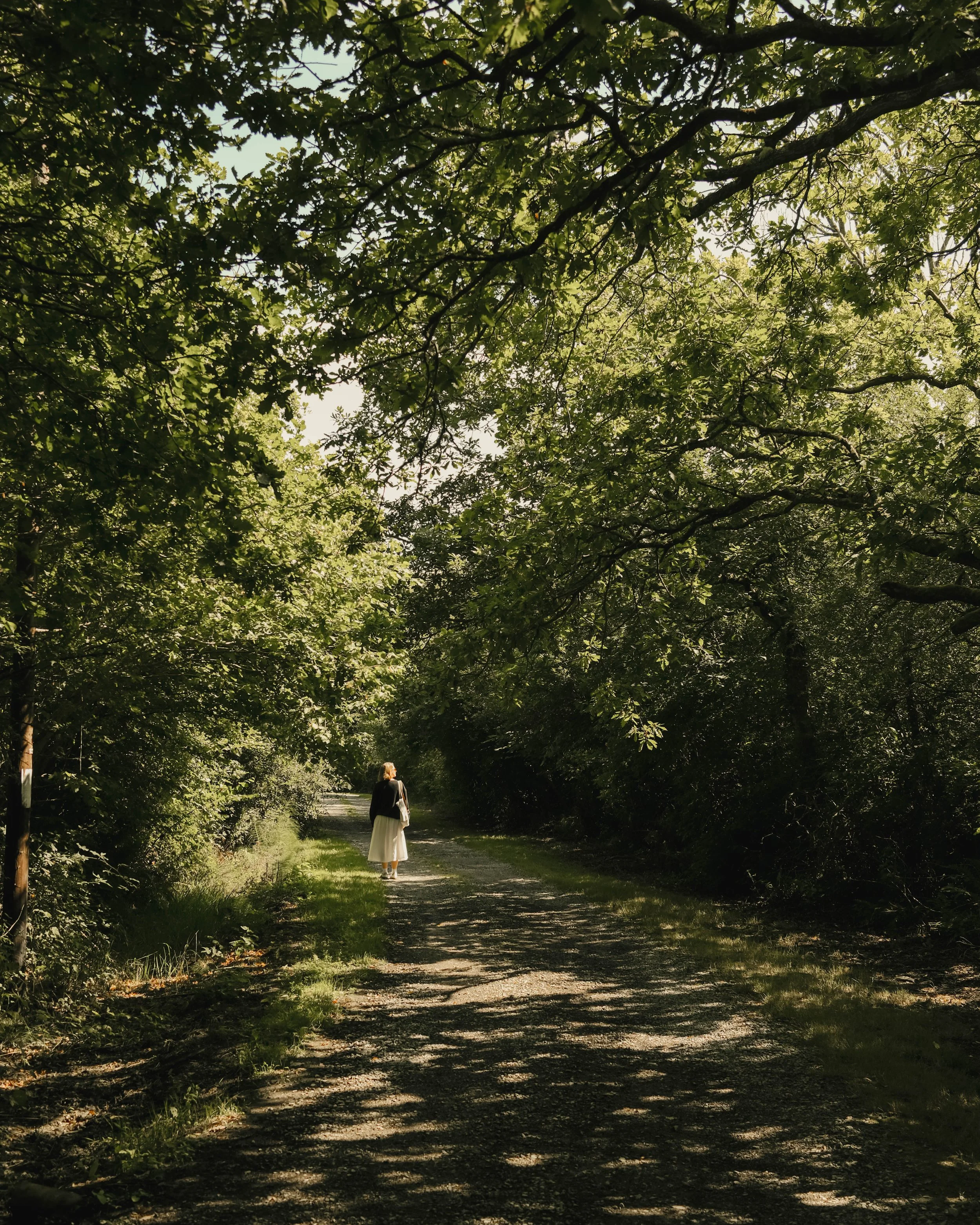 Fforest_Farm_CodyByrce-49.jpg