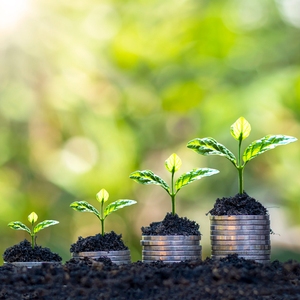 Why a Growth Mindset is Necessary for Turbo Thinkers©