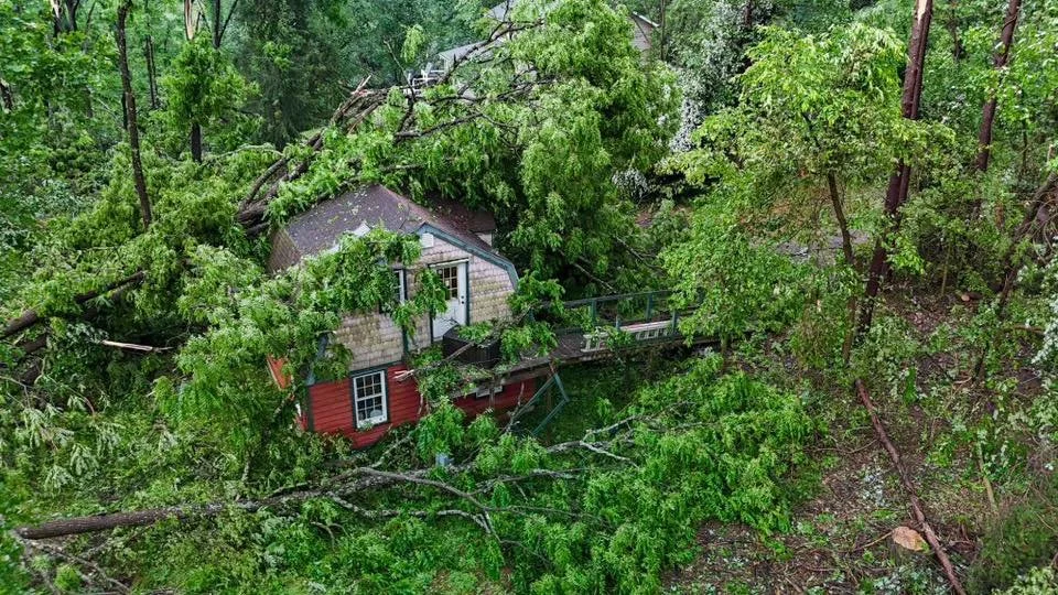 Trees down on a barn in Eldersburg - Shannon Barry