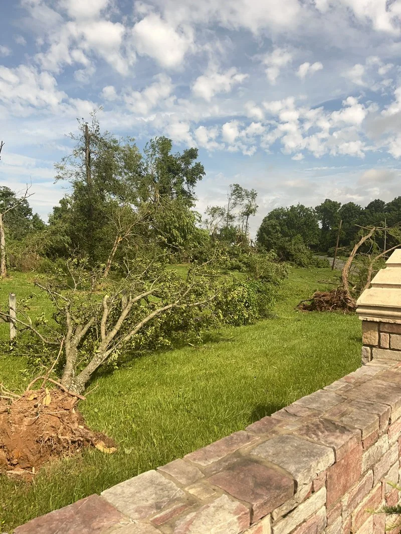 Numerous uprooted trees in Montgomery County - NWS Balt/Wash