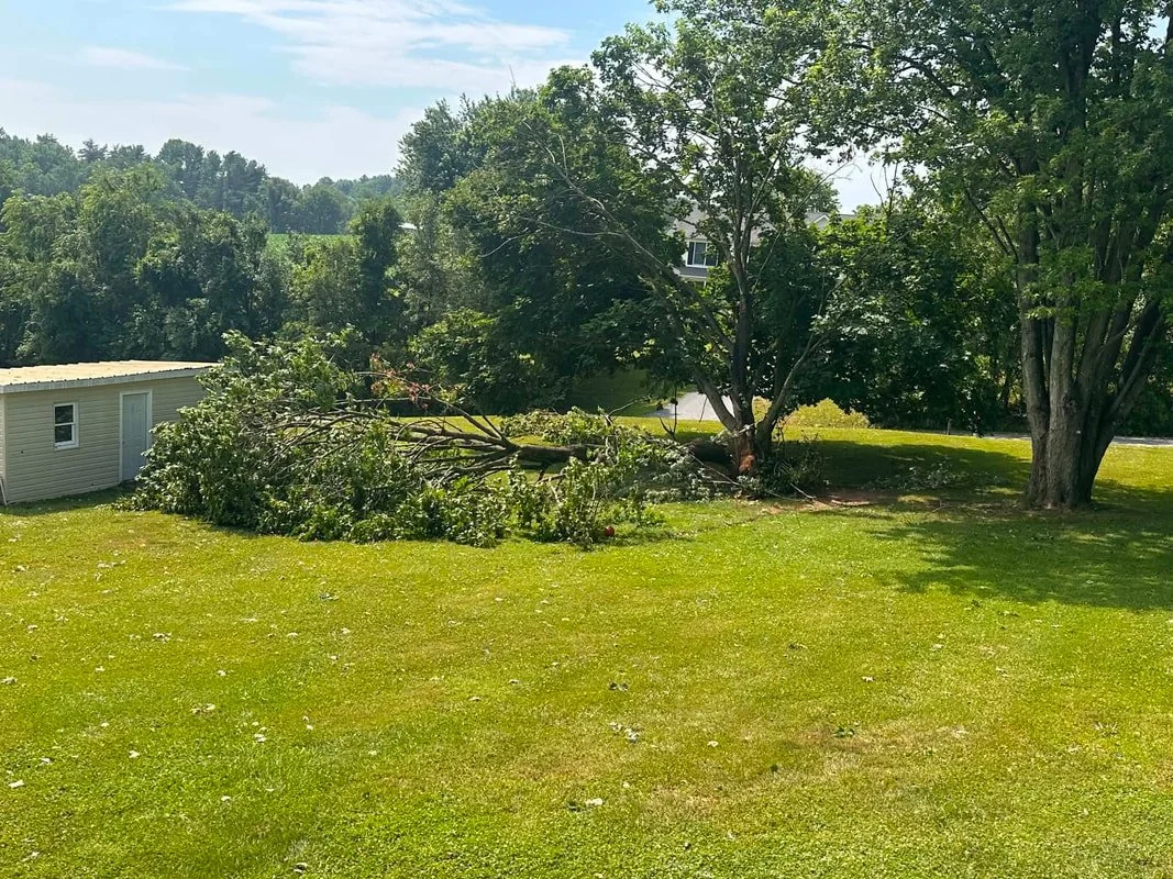Marriottsville Photo Credit: Katie Palle