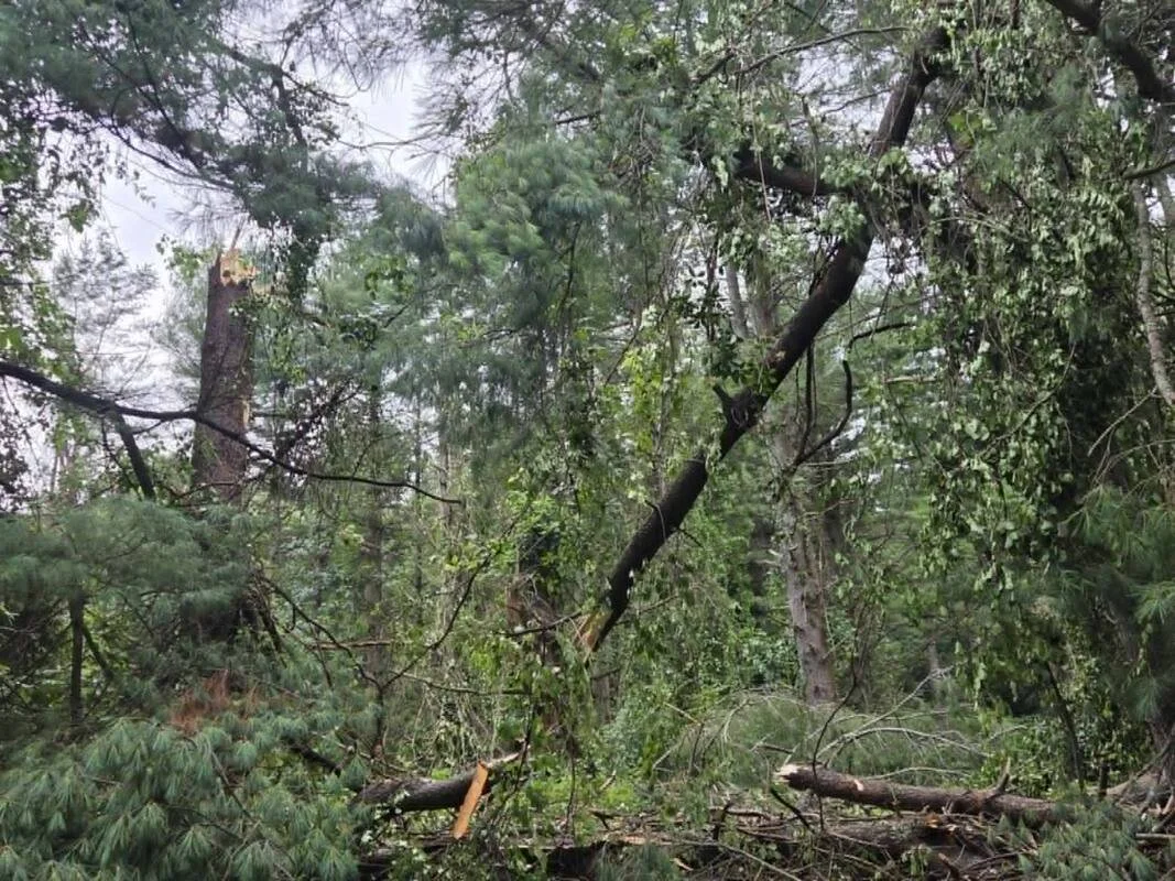 Eldersburg Photo Credit: Kelly Hildebrand