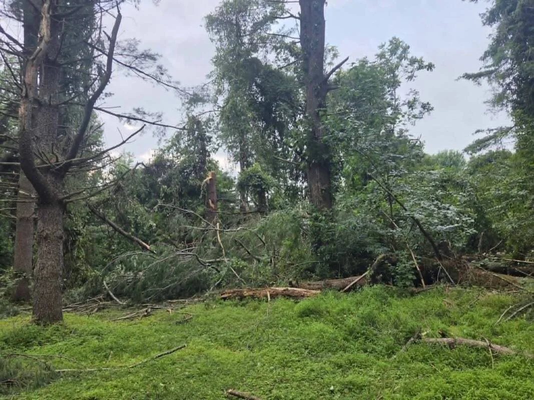 Eldersburg Photo Credit: Kelly Hildebrand