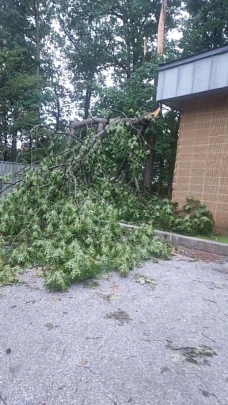 Owings Mills Photo Credit: Michael McCormick
