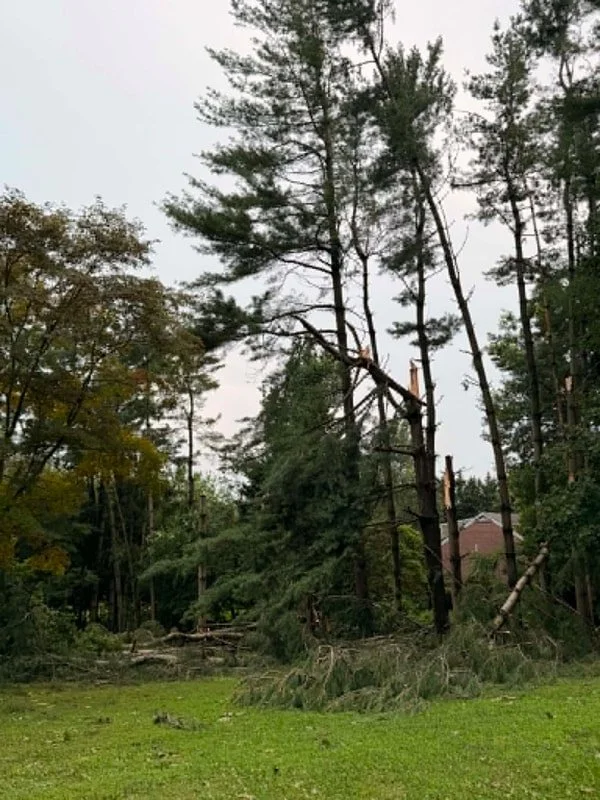 Glenwood Photo Credit: Sar Riley