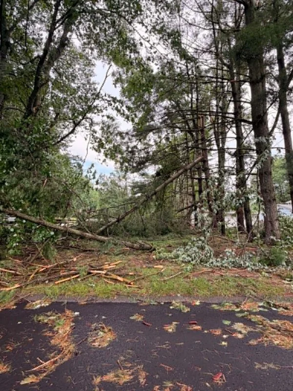 Glenwood Photo Credit: Sar Riley