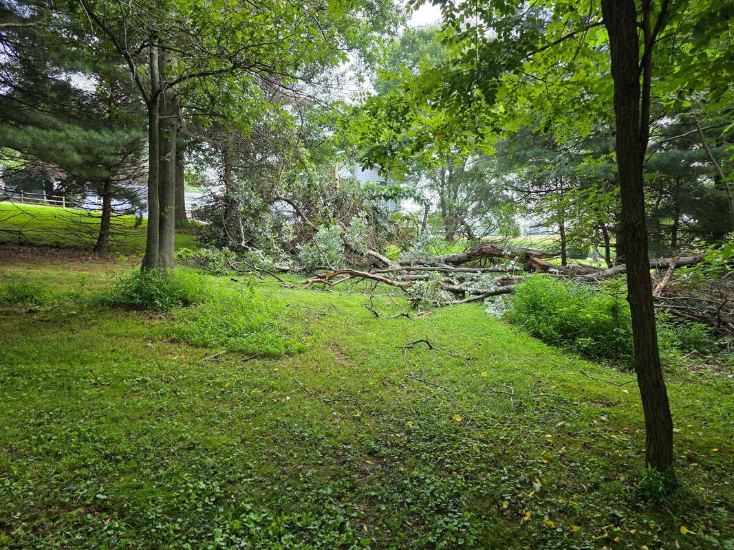 Mount Airy: Ruth Kendall