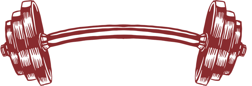 Red illustration of a barbell with two weights, one on each end.