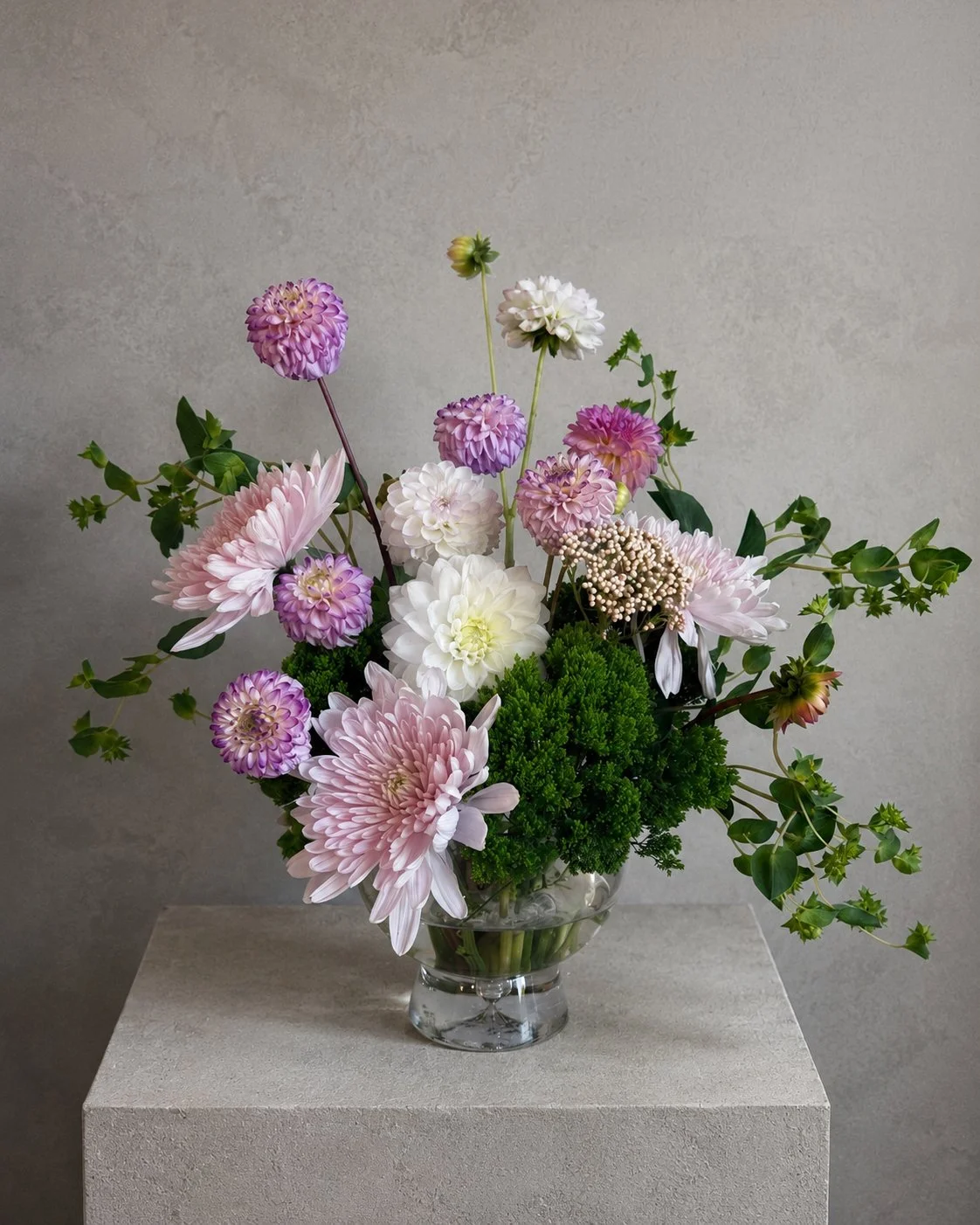 Bashful Garden