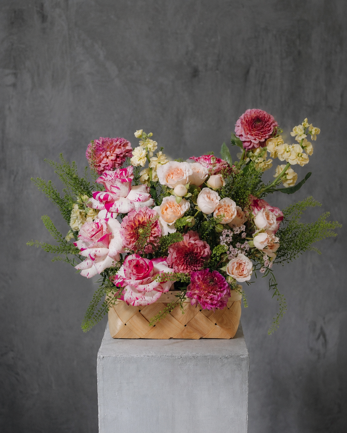 Dahlia & Rose