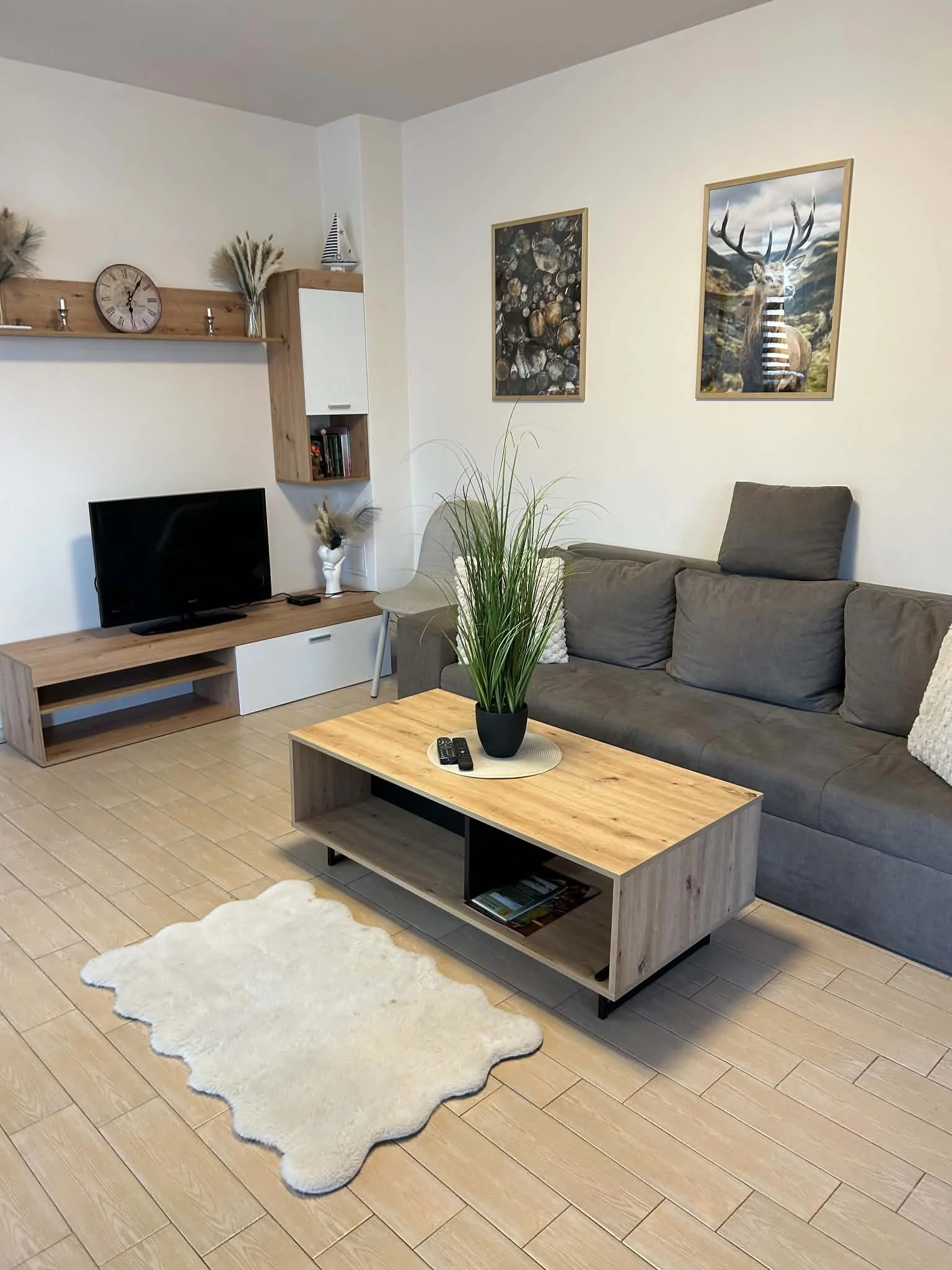 A living room with a gray sofa, wooden coffee table, and white shag rug. There is a potted plant on the coffee table, a TV on a wooden stand, and wall art featuring mountains and a deer. The wall has a floating shelf with a clock, candles, and decora