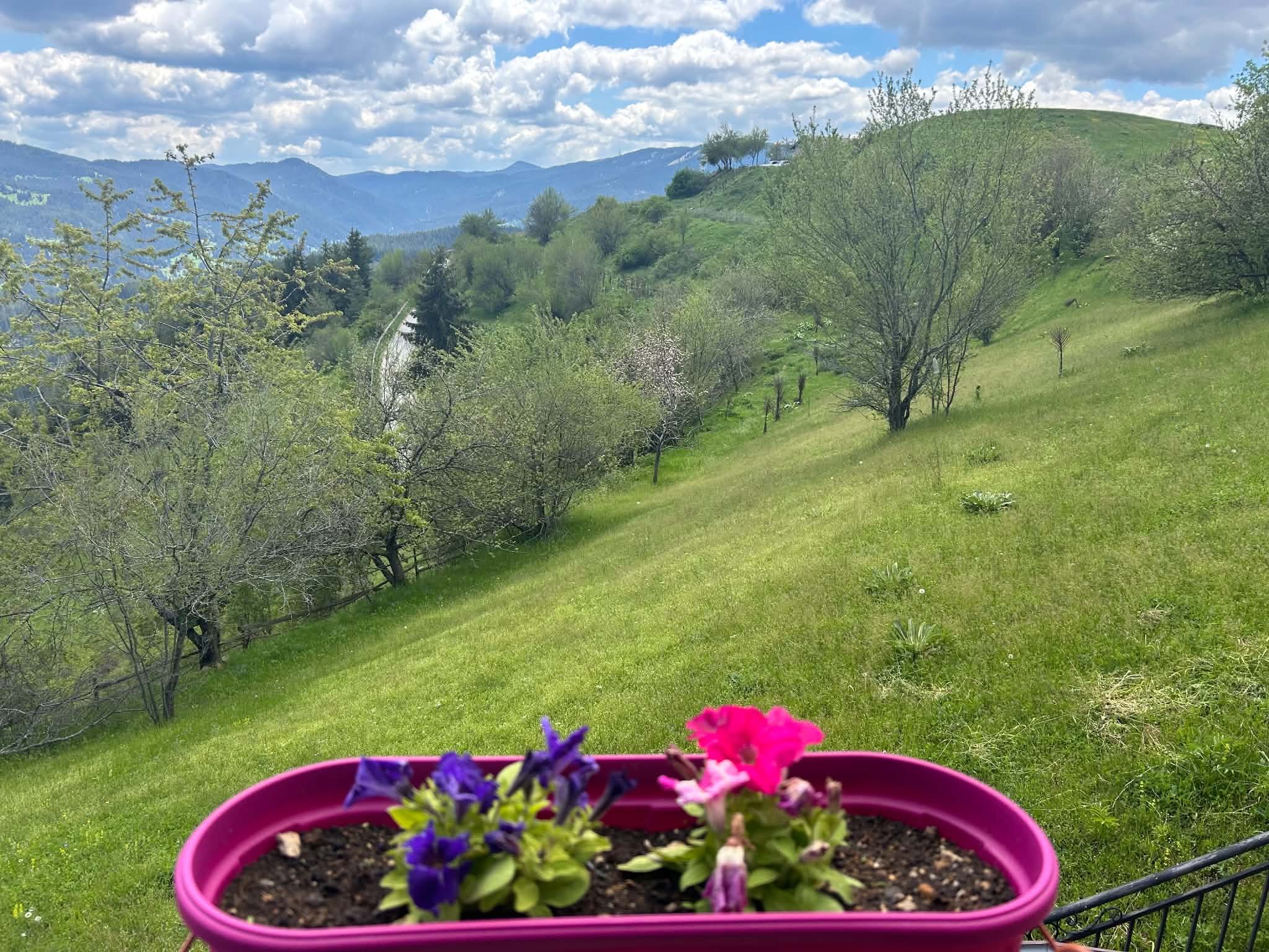 A pink flower pot with purple and pink flowers in the foreground, overlooking a lush green hillside with trees, a winding path, and mountain ranges under a partly cloudy sky.