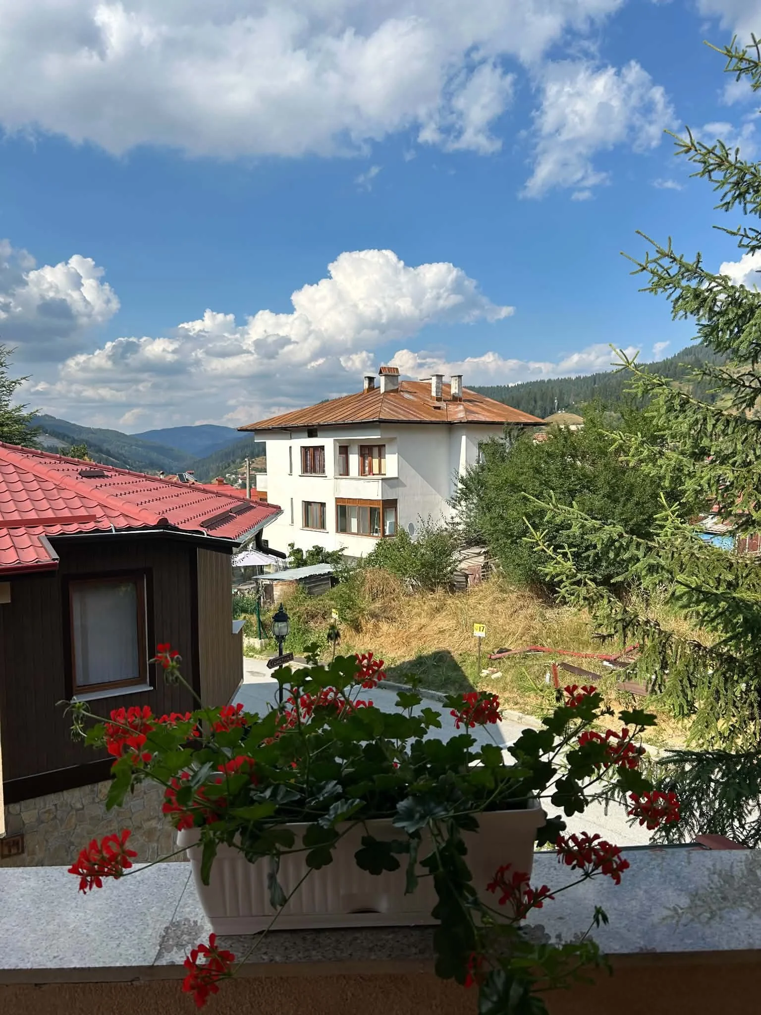A view from a balcony window showing a residential area with houses, trees, and mountains in the background under a partly cloudy sky. Red flowers are in a pot on the balcony ledge in the foreground.